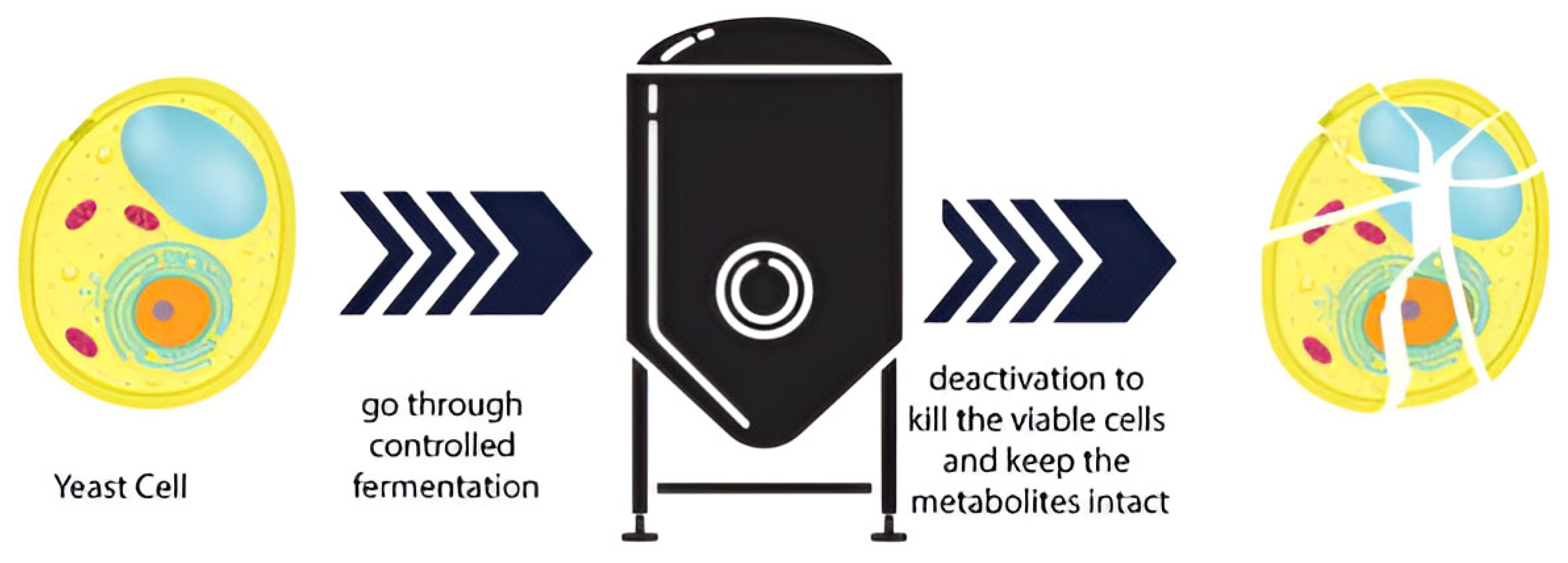 Microorganisms 13 01472 g002
