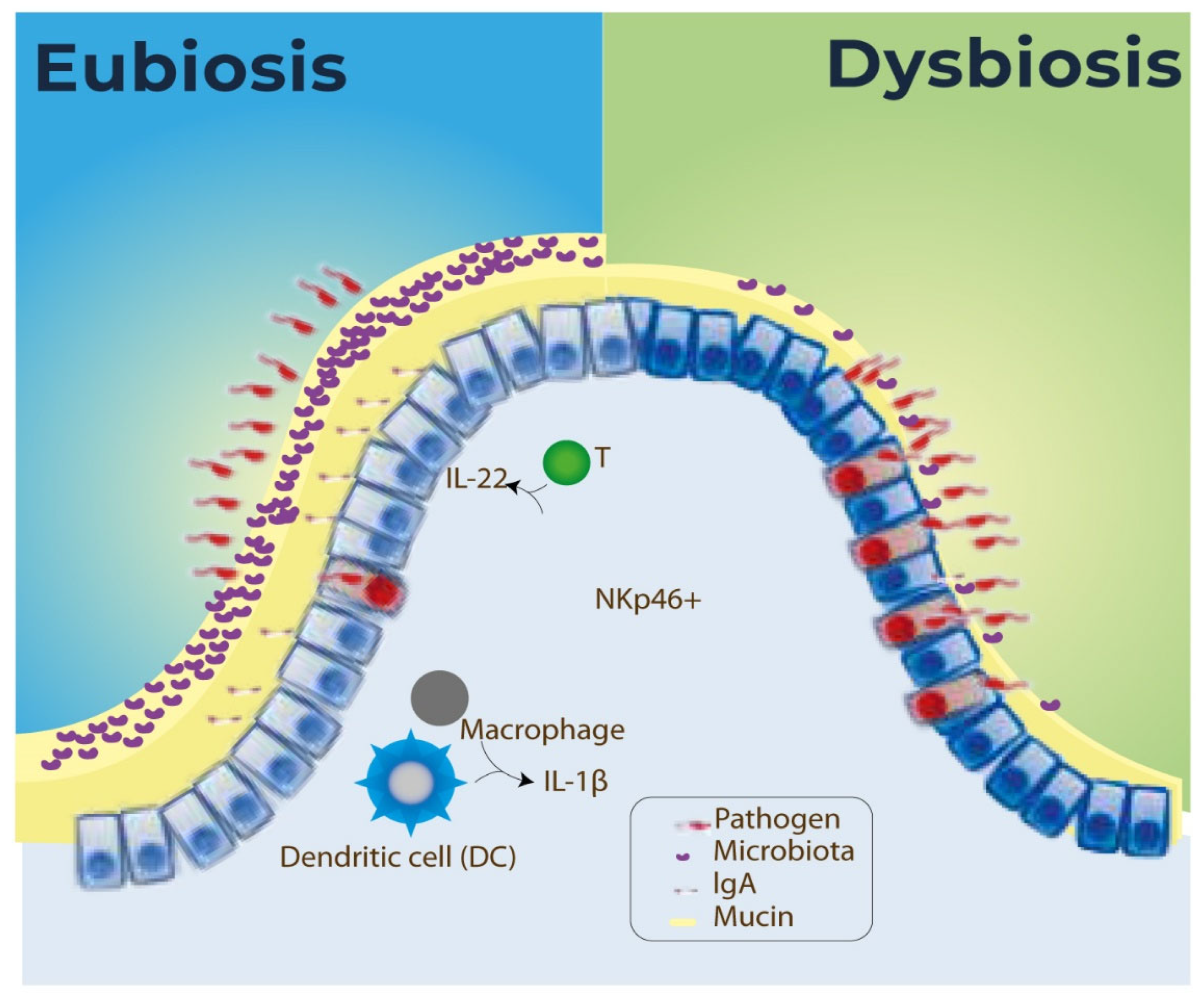Microorganisms 13 01472 g003