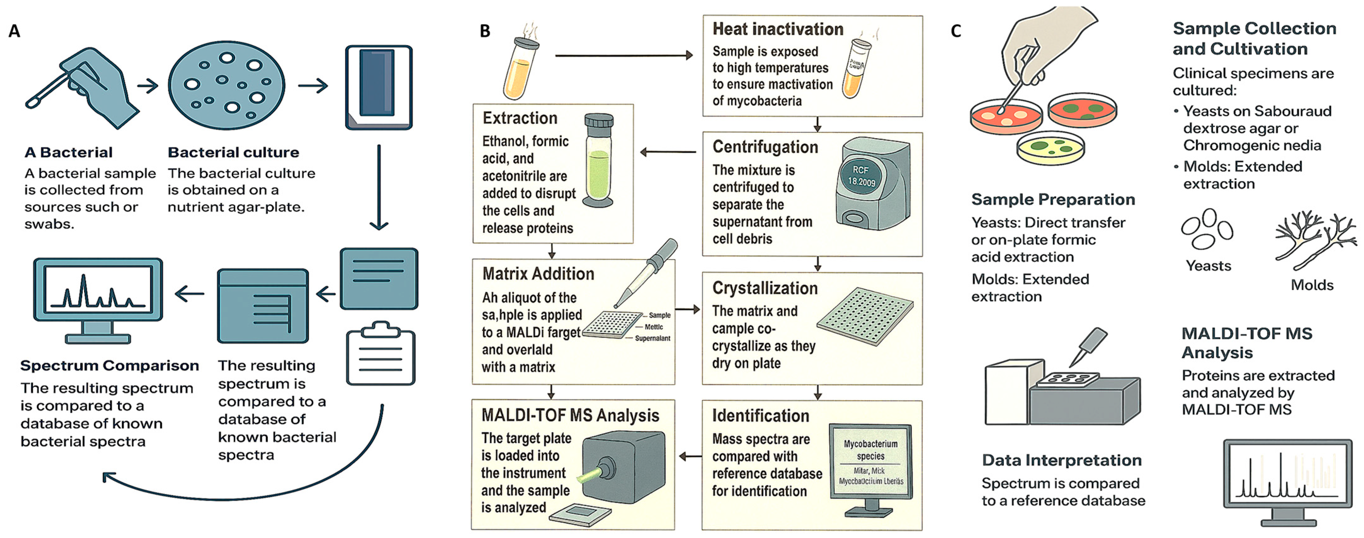 Microorganisms 13 01473 g001