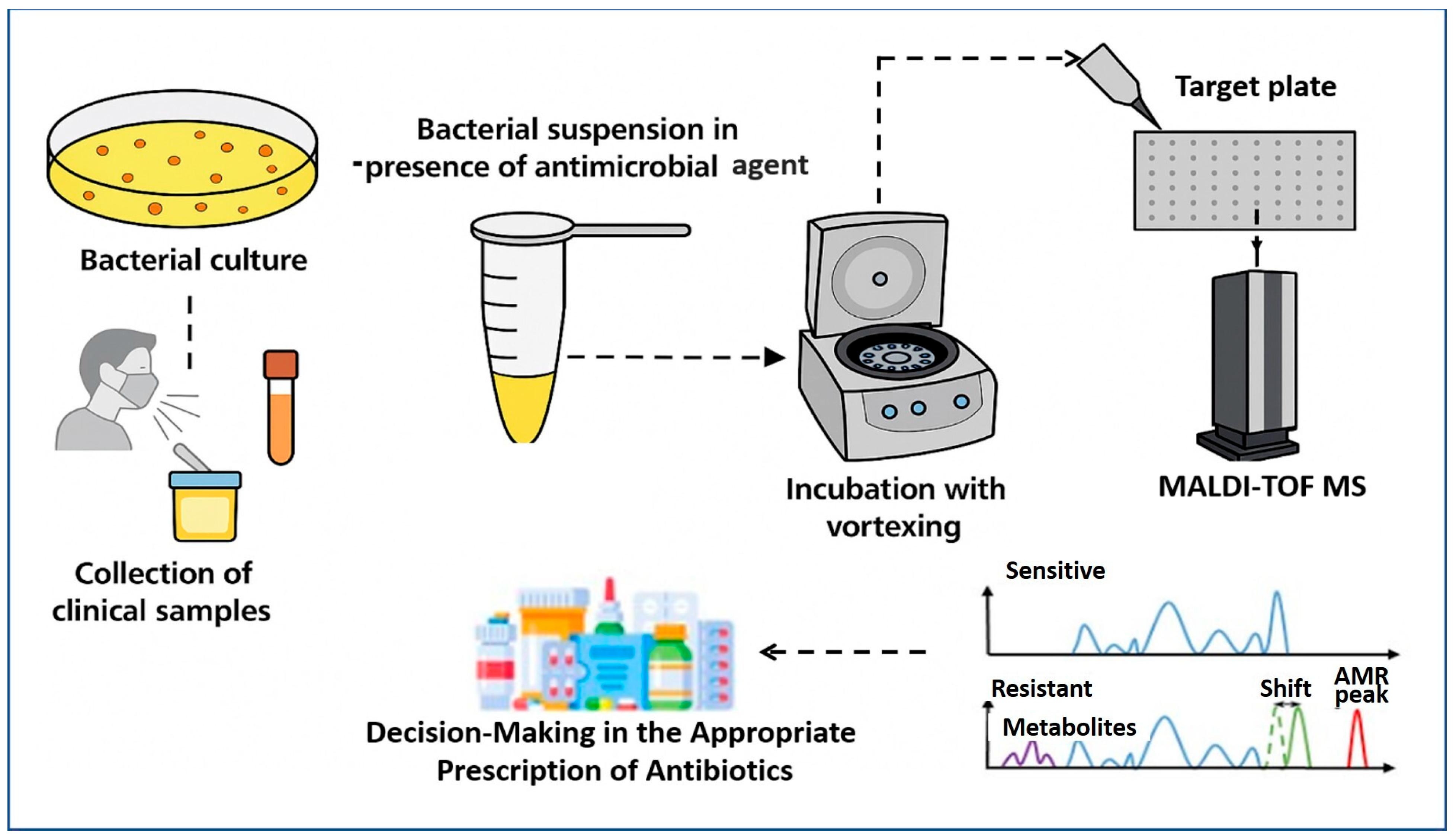 Microorganisms 13 01473 g002
