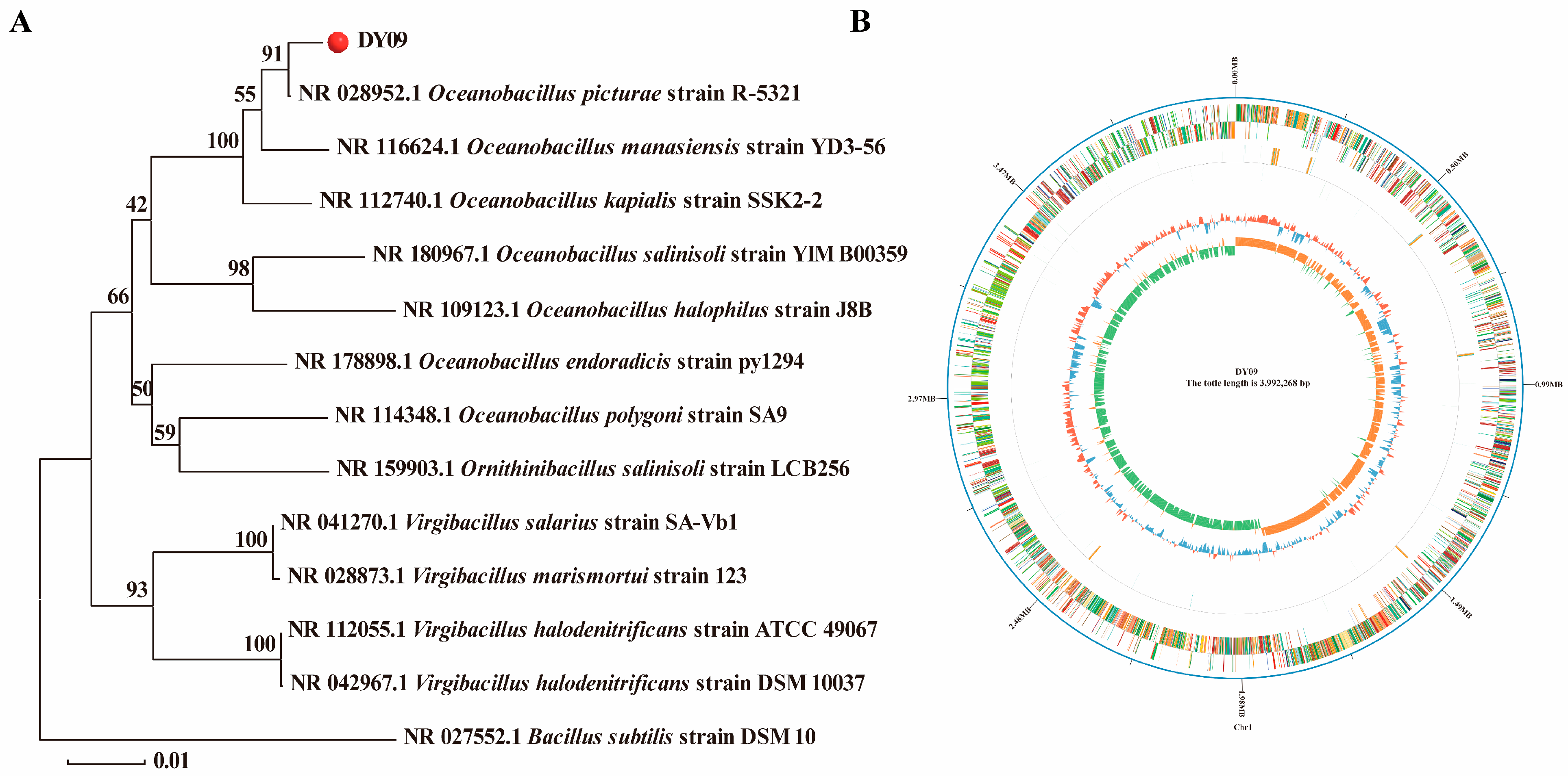 Microorganisms 13 01474 g001