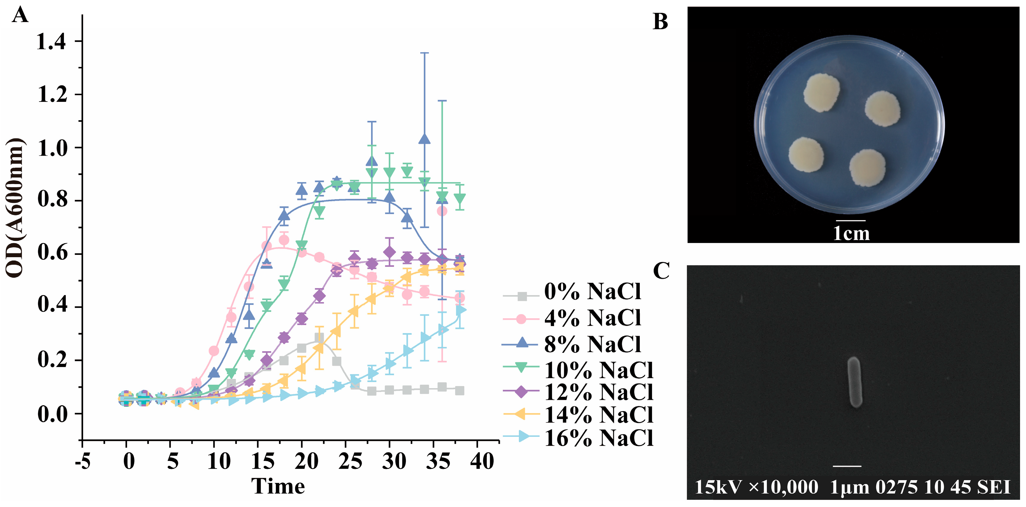 Microorganisms 13 01474 g002