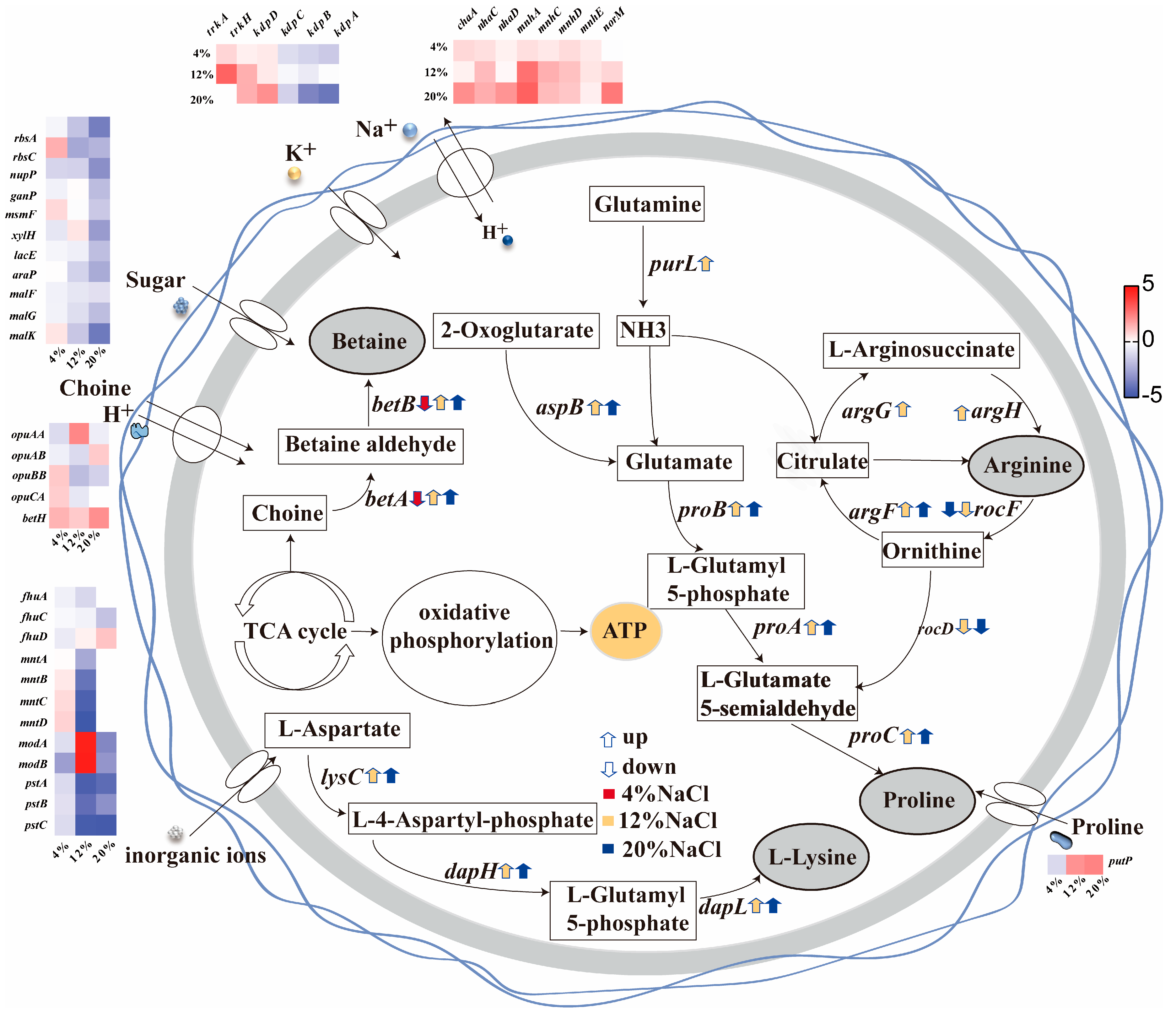 Microorganisms 13 01474 g005