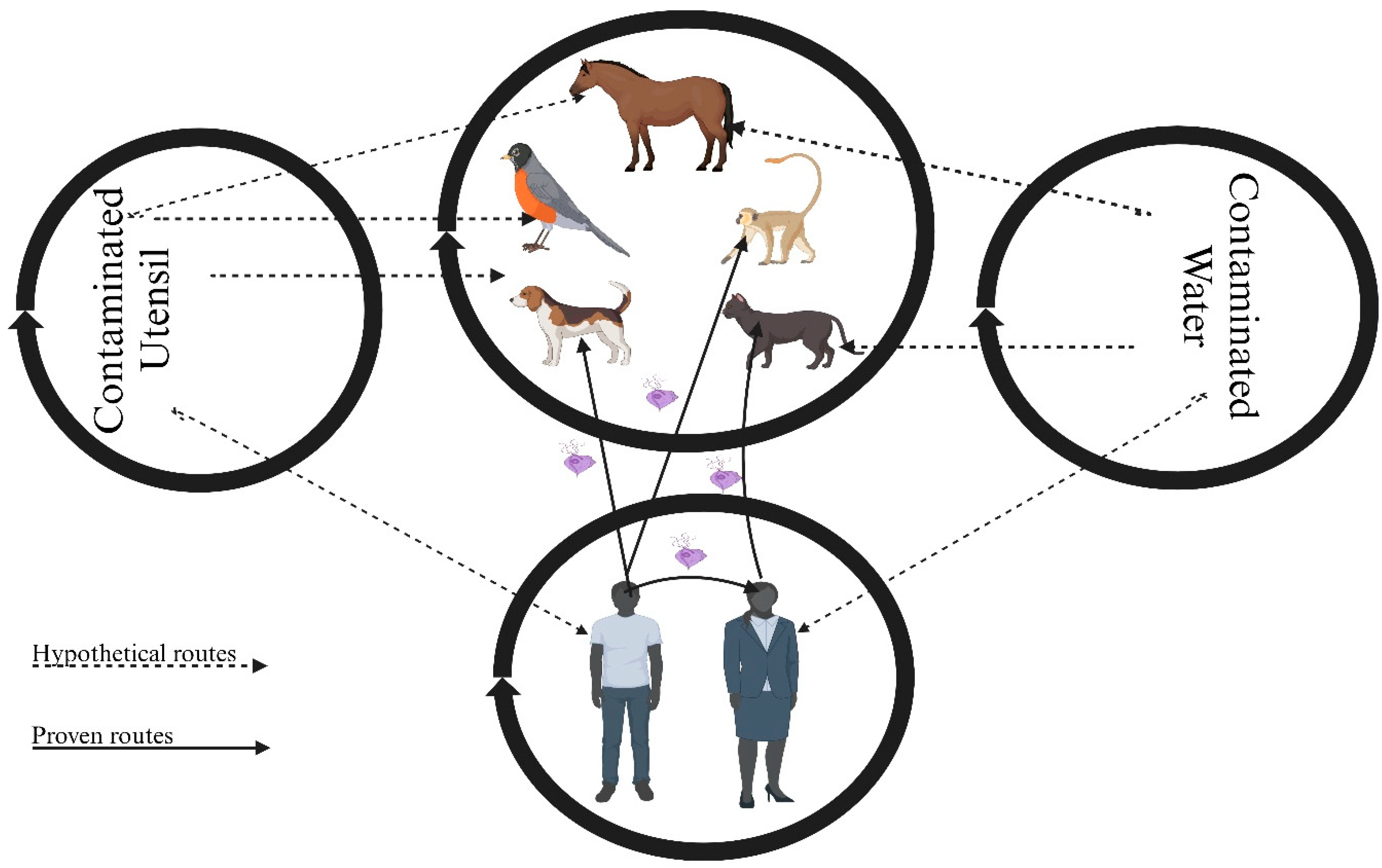 Microorganisms 13 01475 g001