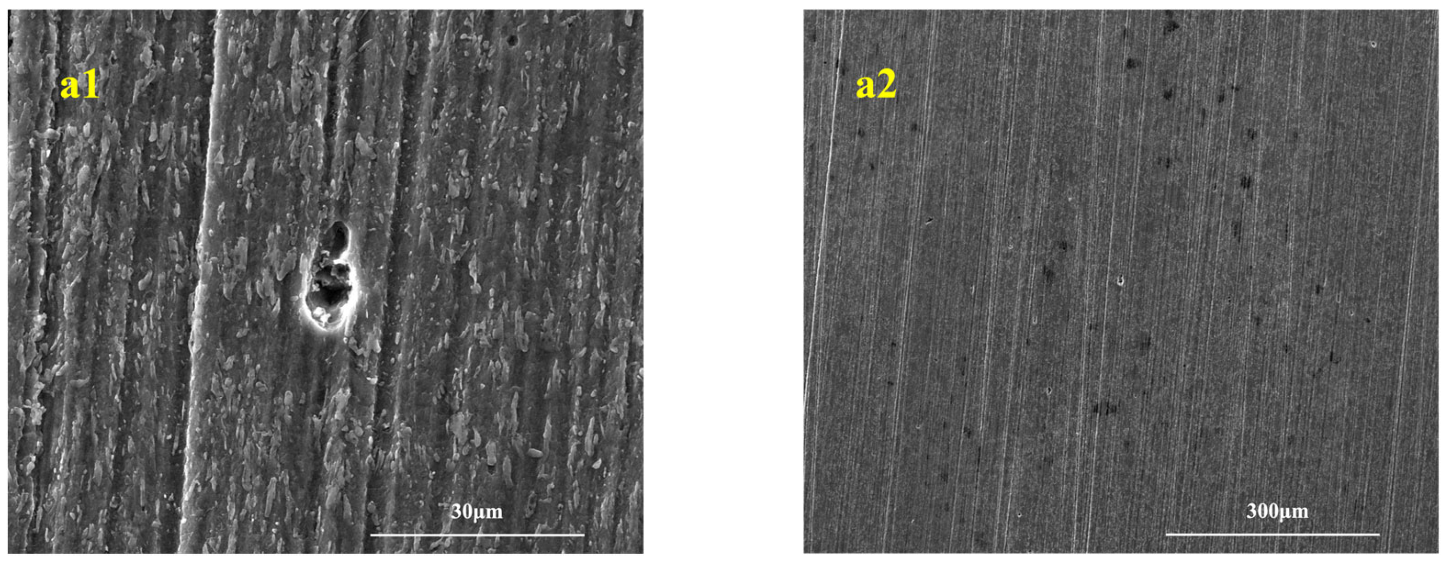 Microorganisms 13 01476 g005a