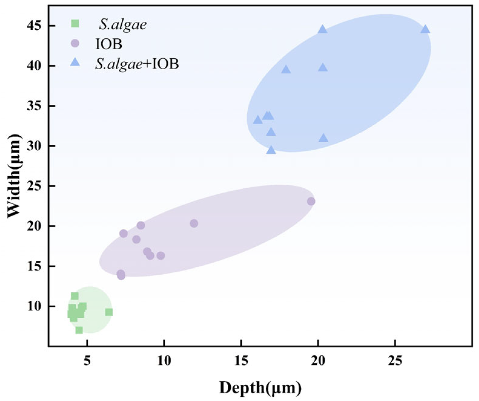 Microorganisms 13 01476 g006