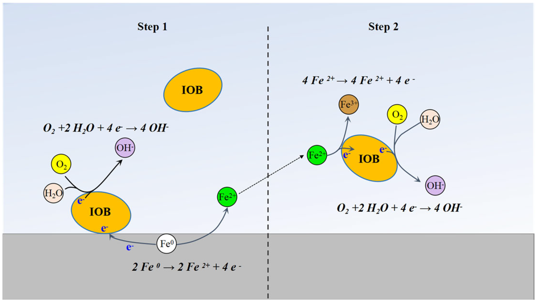 Microorganisms 13 01476 g011