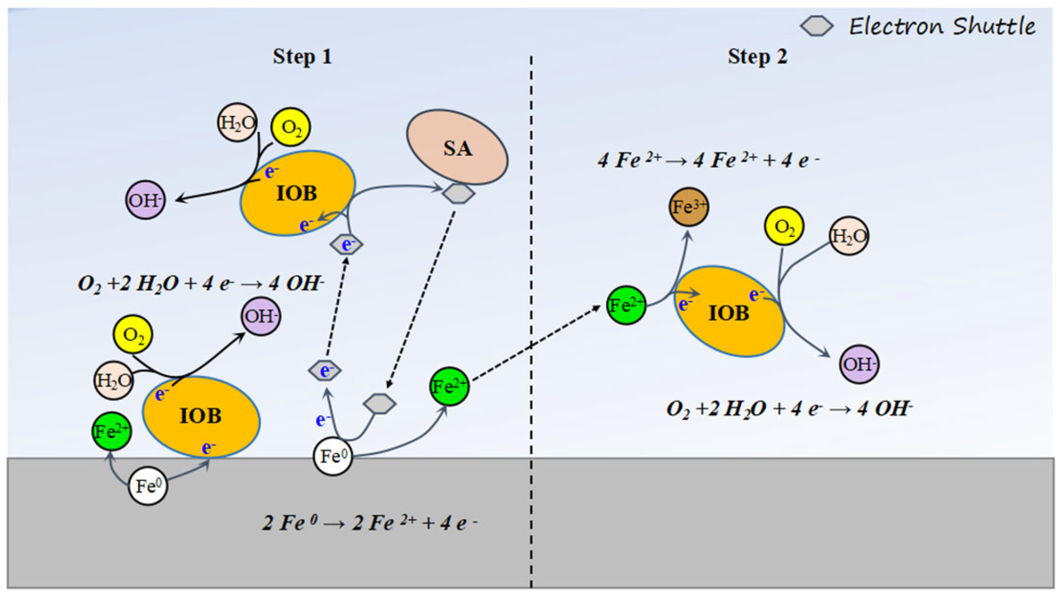 Microorganisms 13 01476 g012