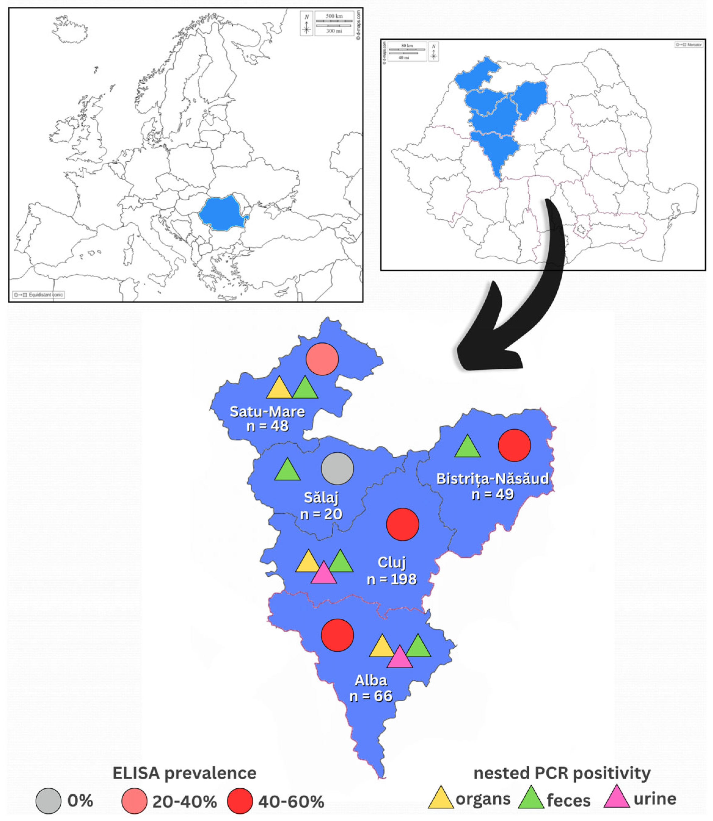 Microorganisms 13 01478 g001