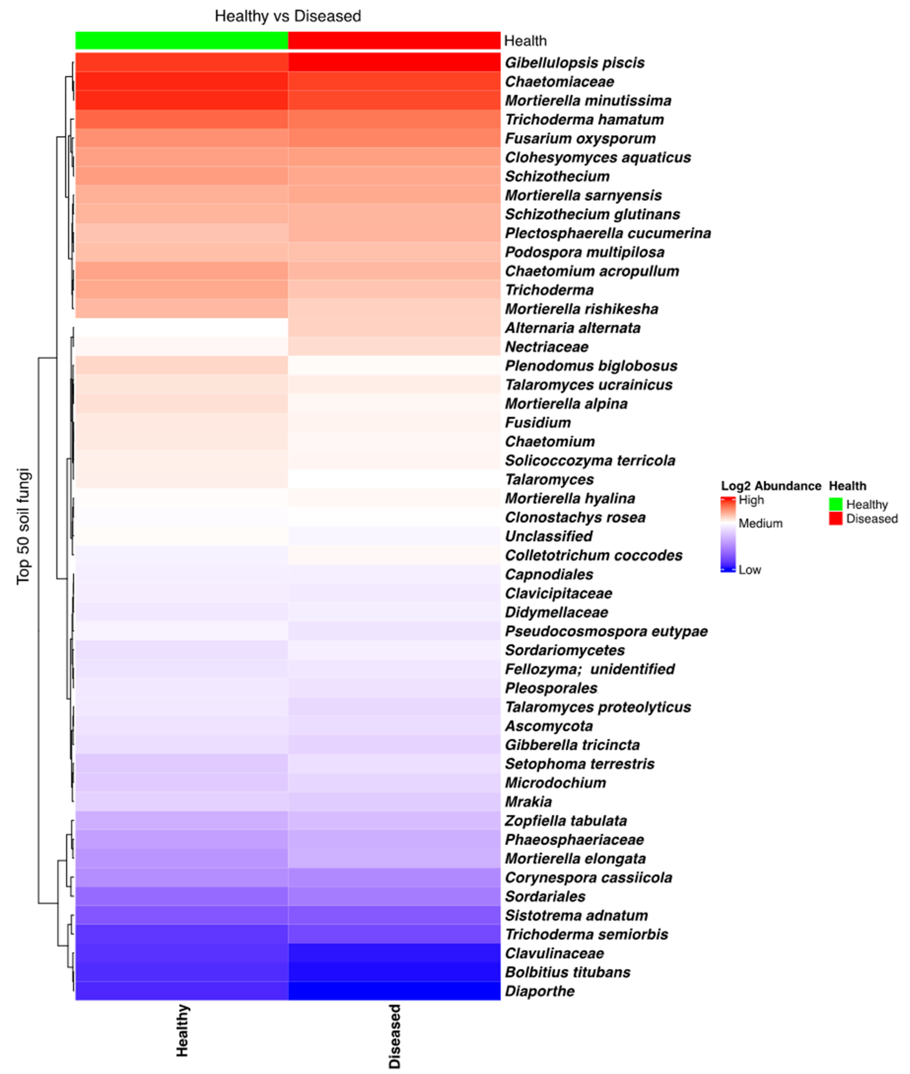 Microorganisms 13 01482 g002