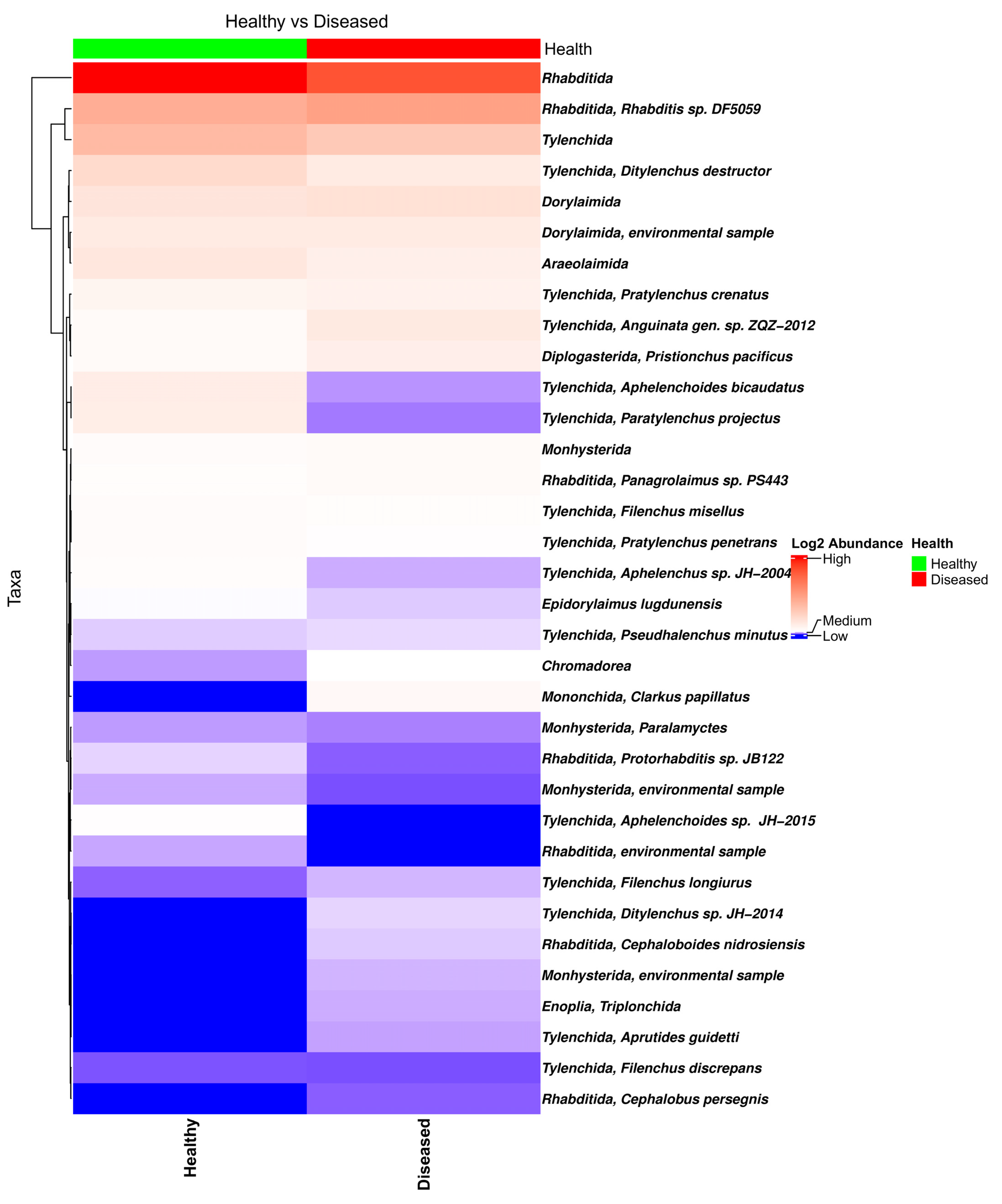 Microorganisms 13 01482 g003