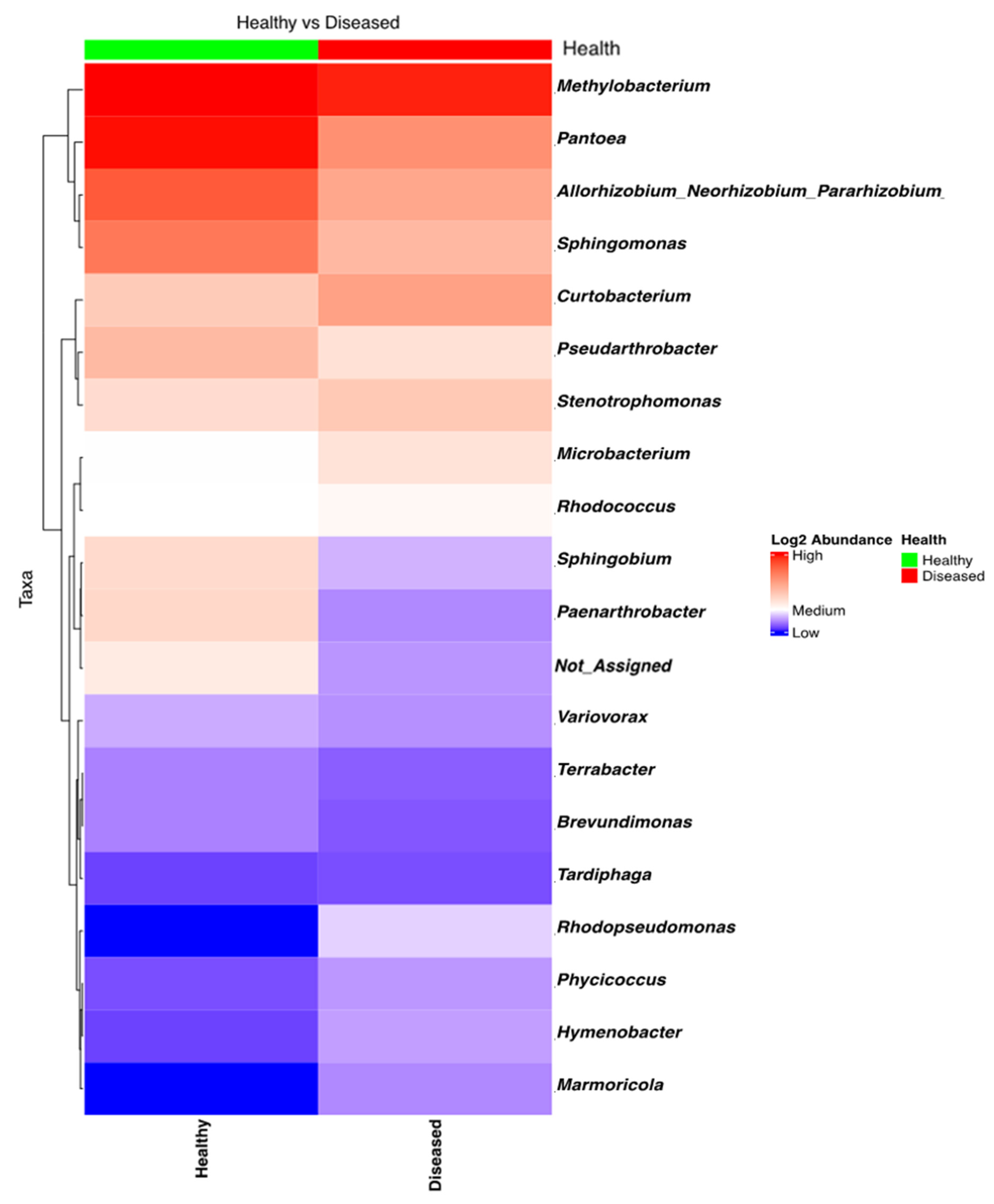 Microorganisms 13 01482 g004