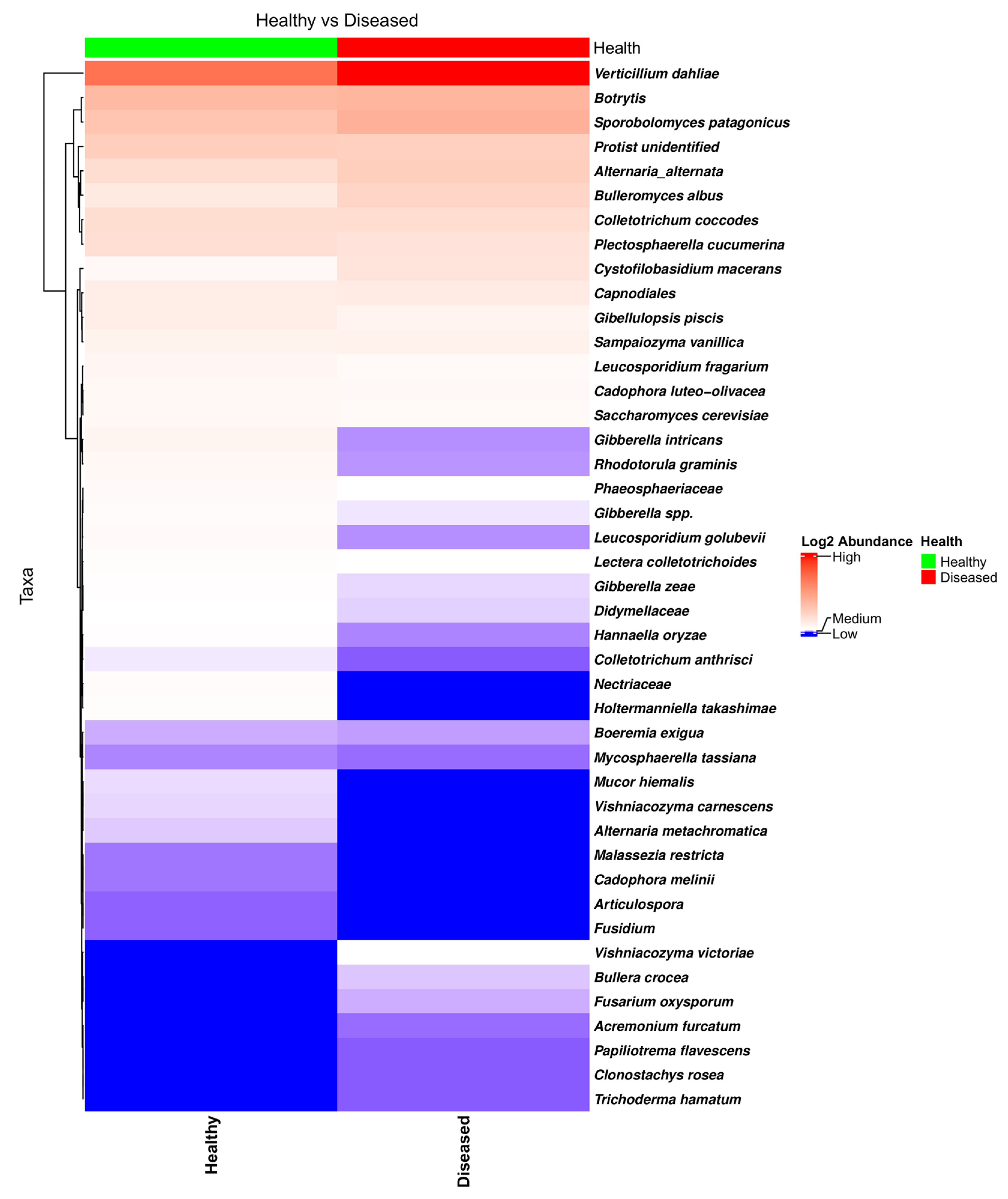 Microorganisms 13 01482 g007