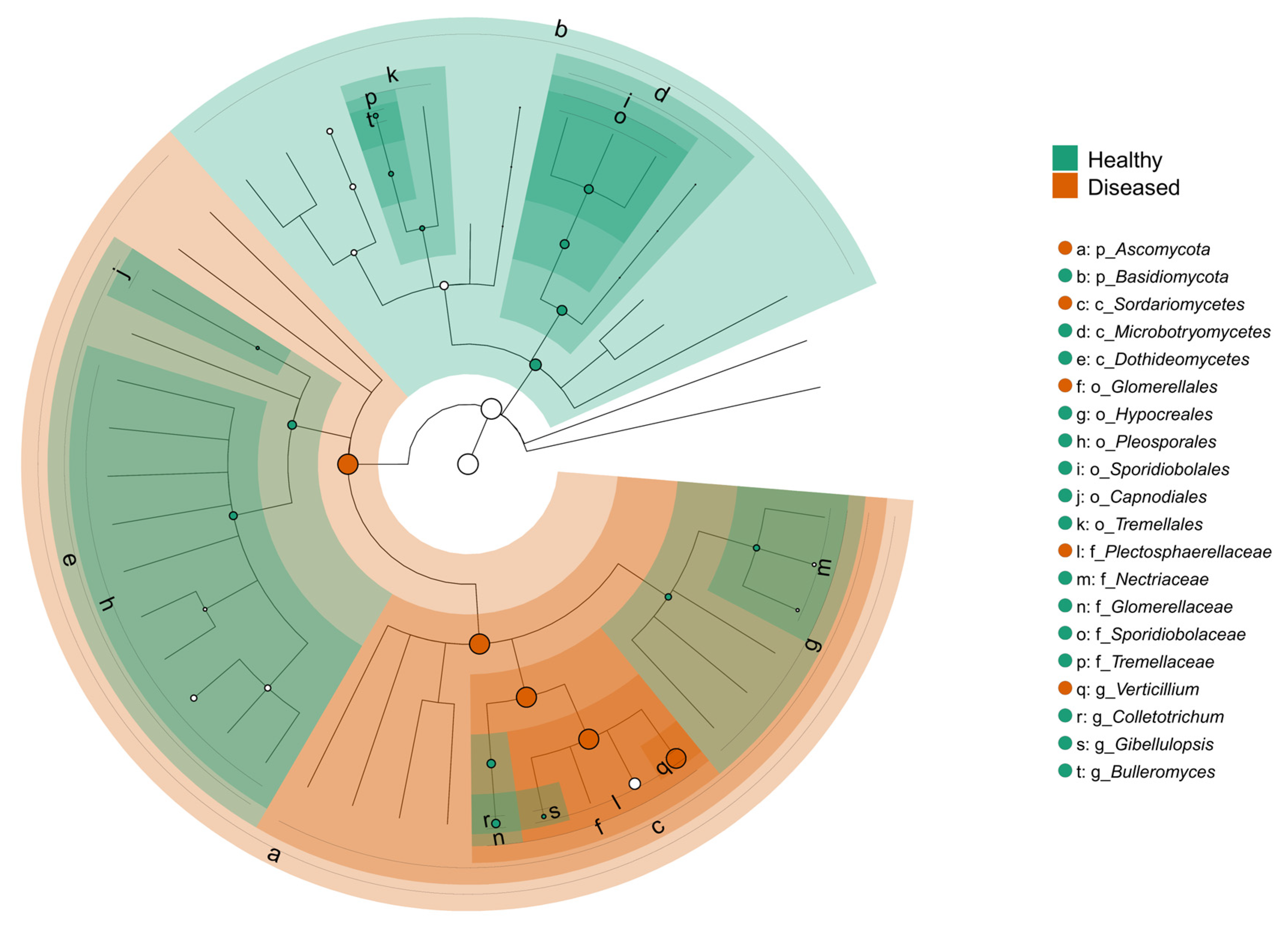Microorganisms 13 01482 g009