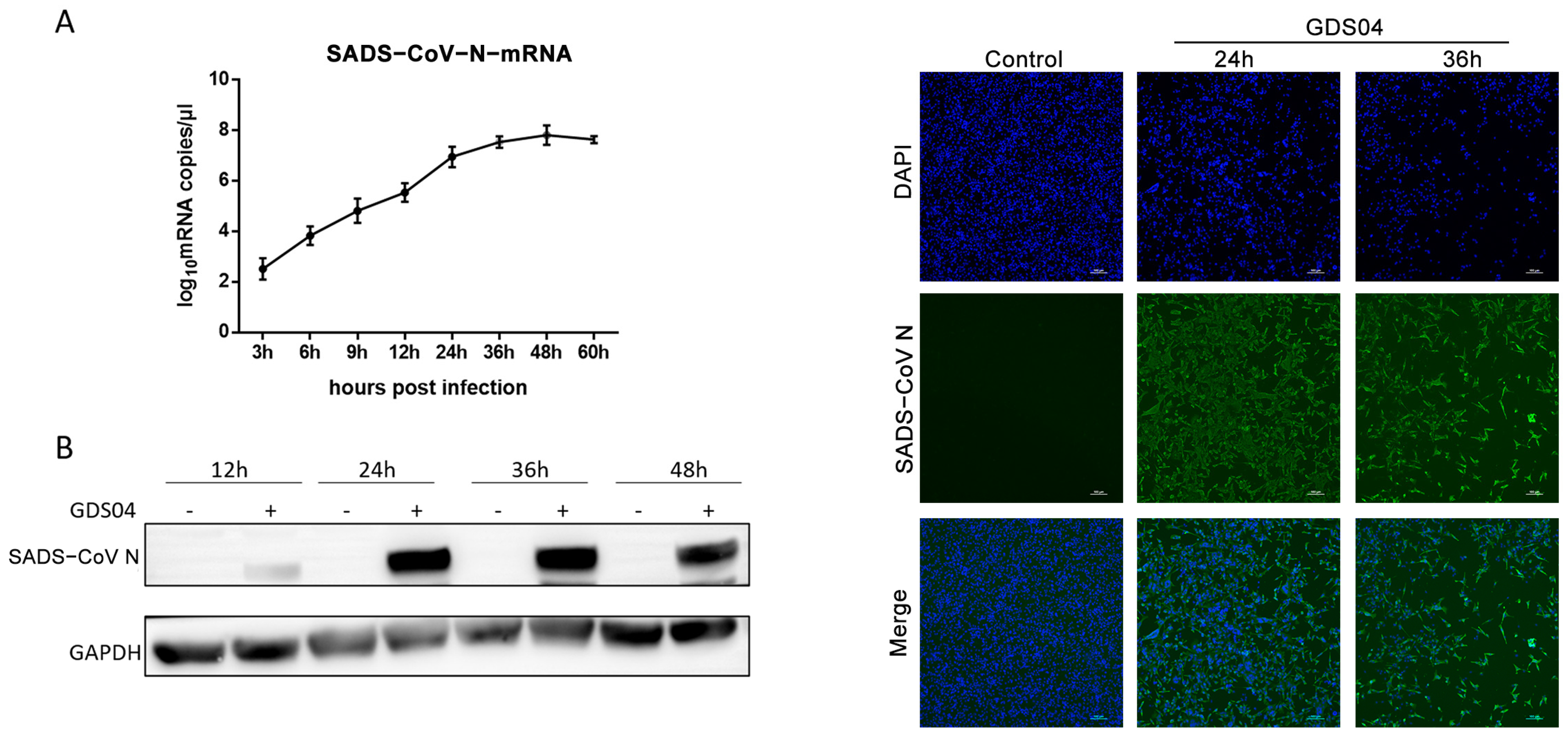 Microorganisms 13 01494 g001