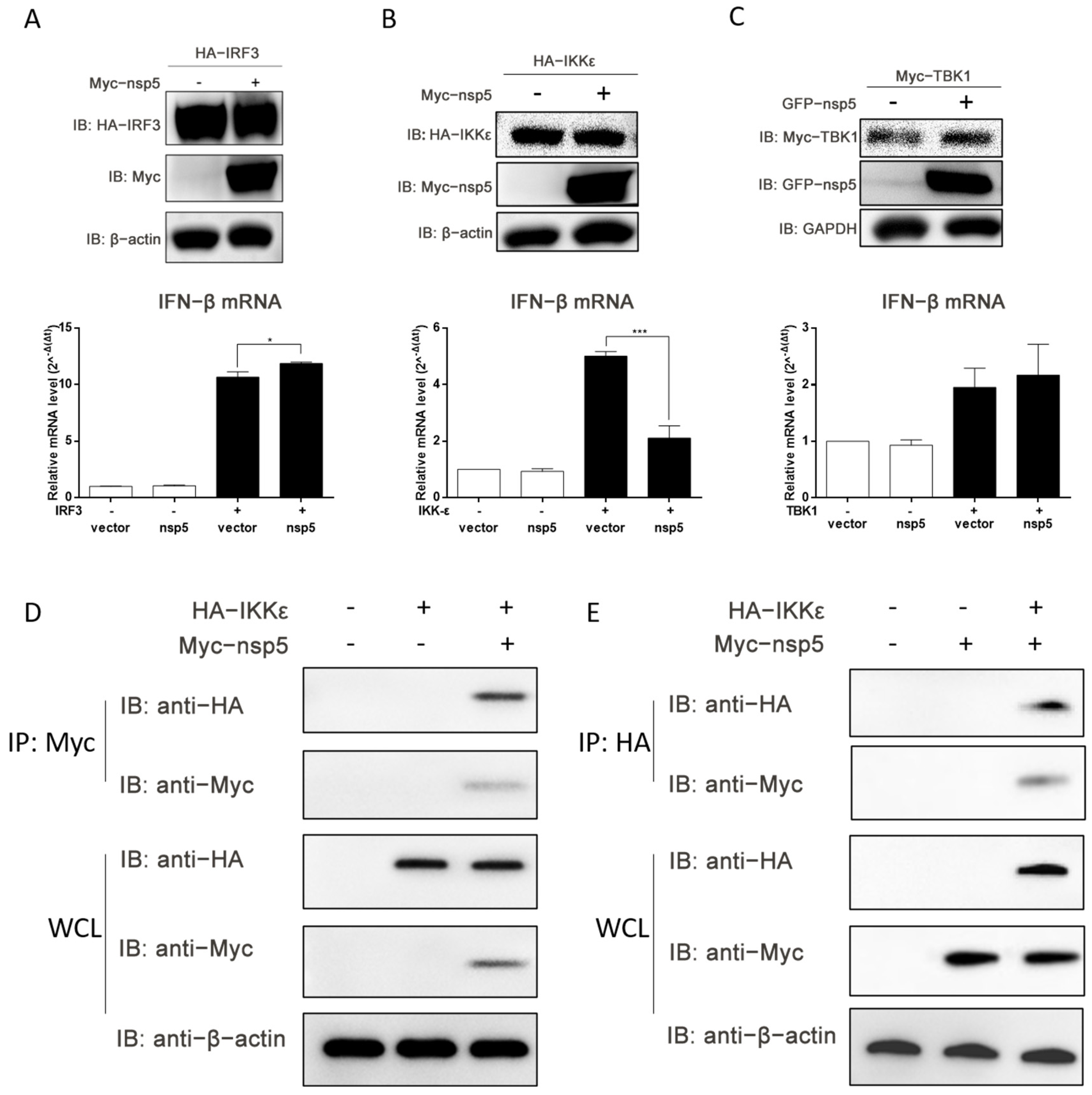 Microorganisms 13 01494 g005