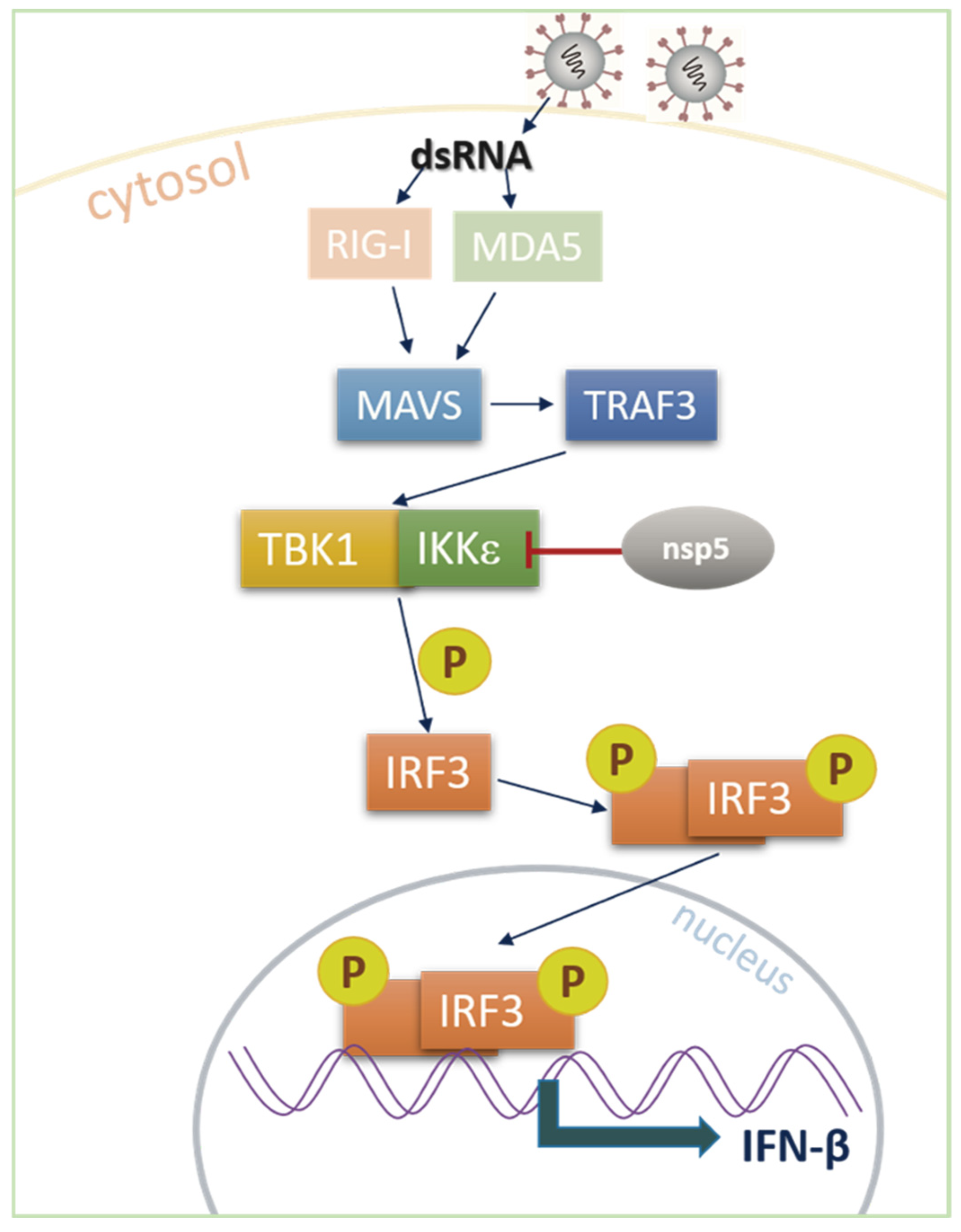 Microorganisms 13 01494 g007