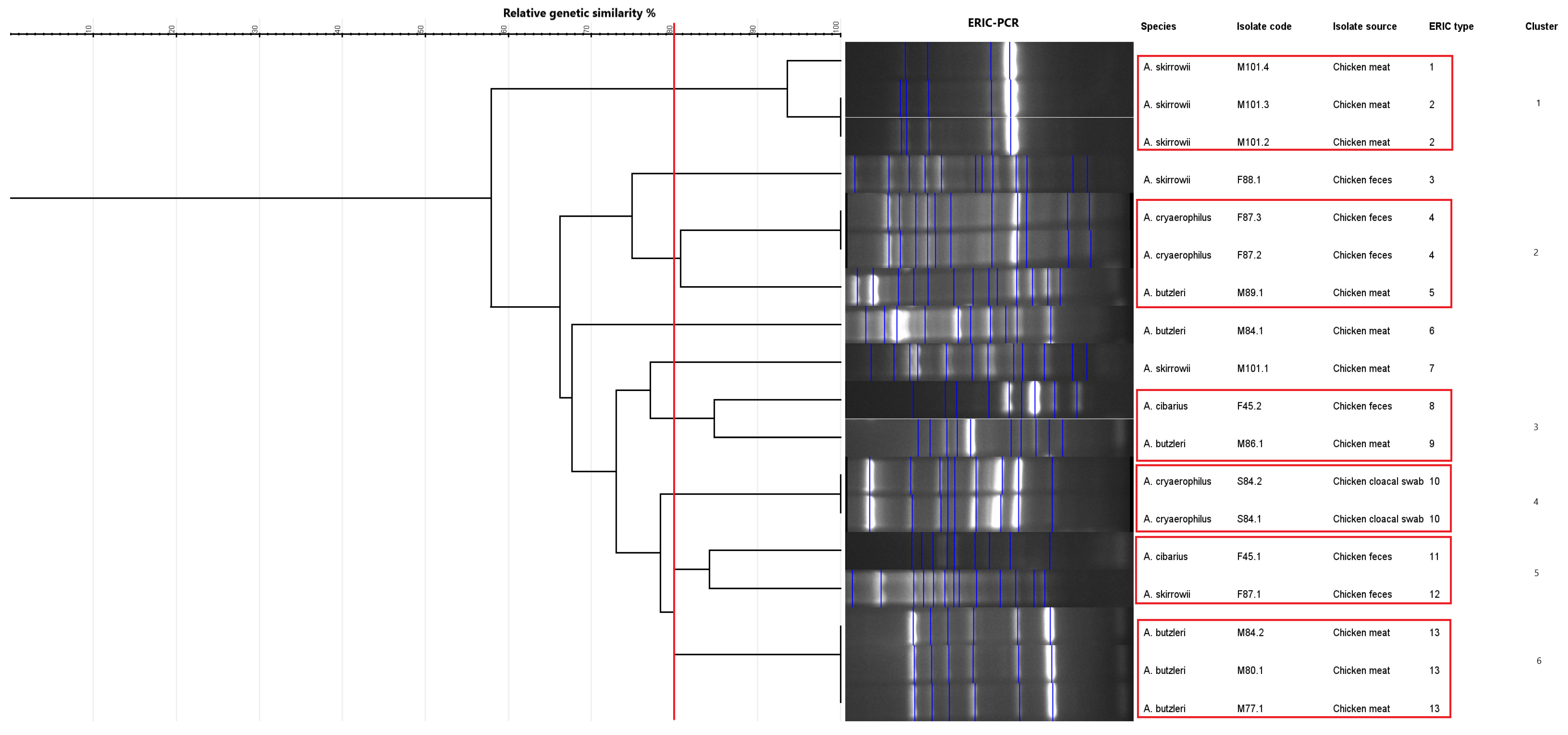 Microorganisms 13 01495 g006