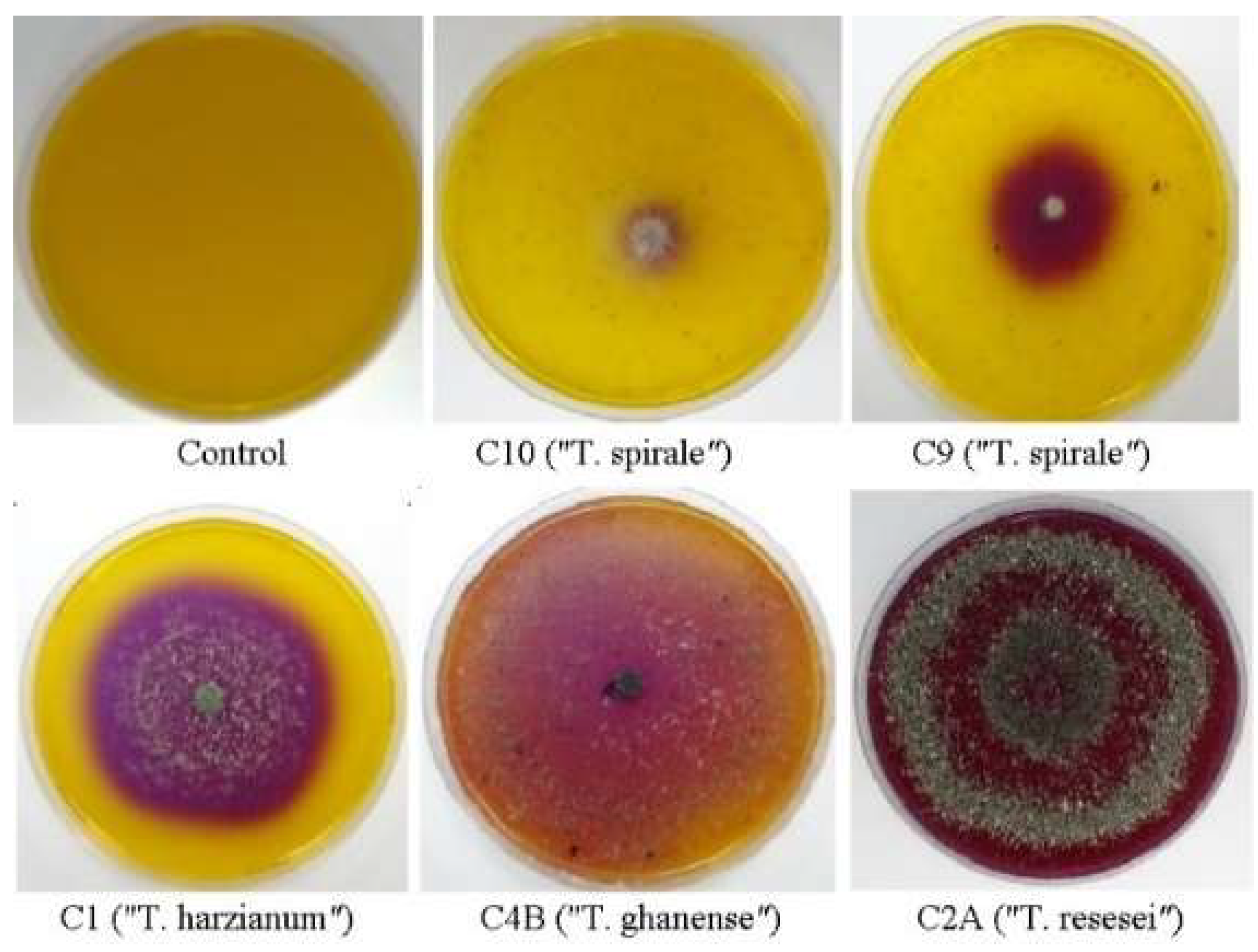 Microorganisms 13 01499 g002