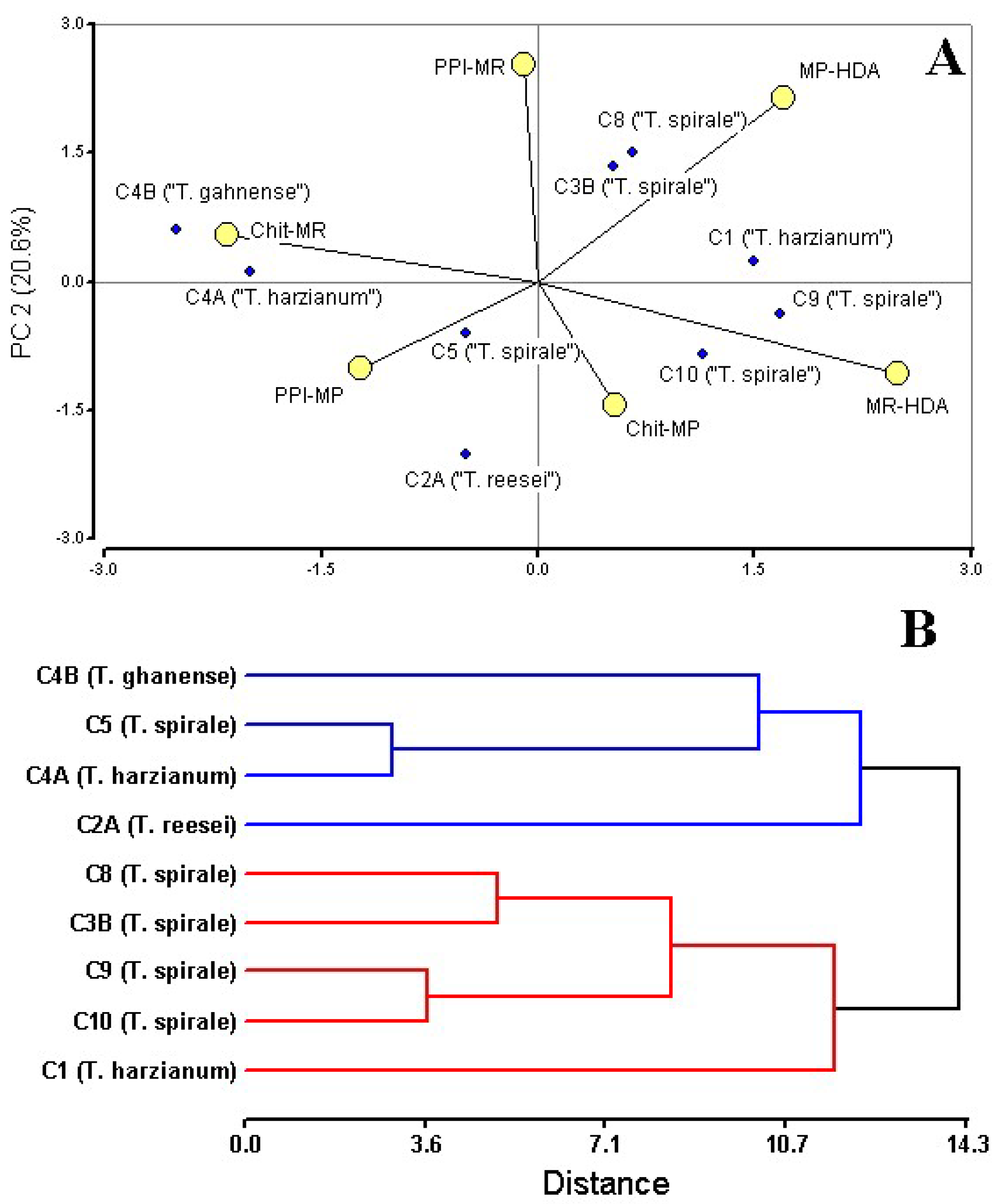 Microorganisms 13 01499 g004