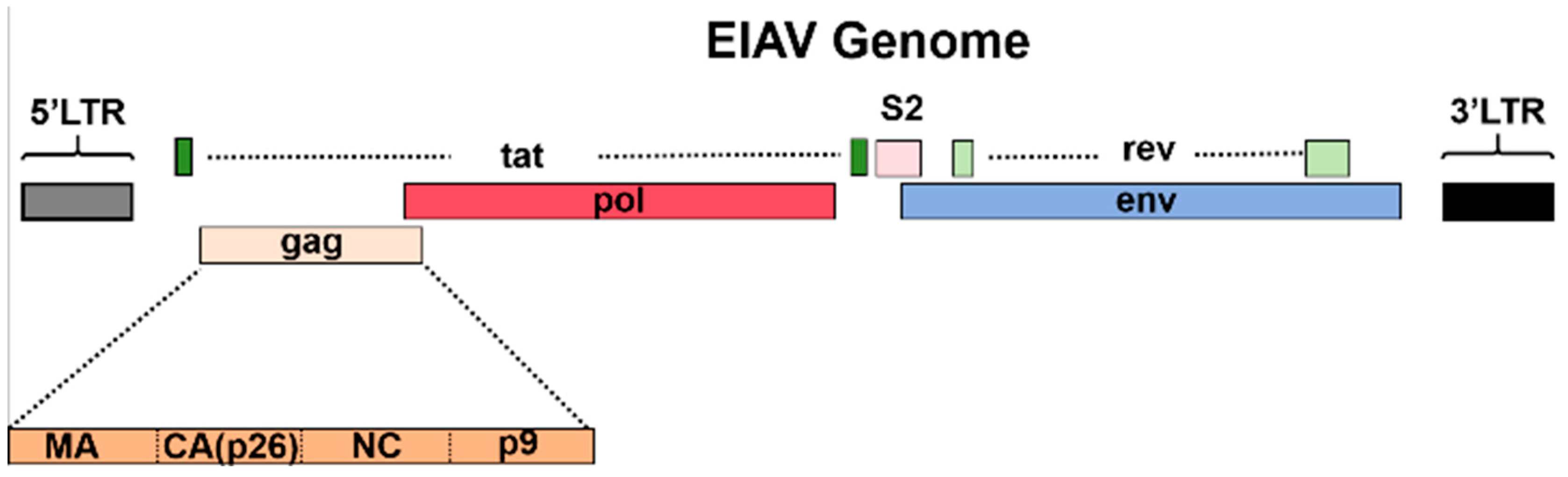 Microorganisms 13 01500 g001