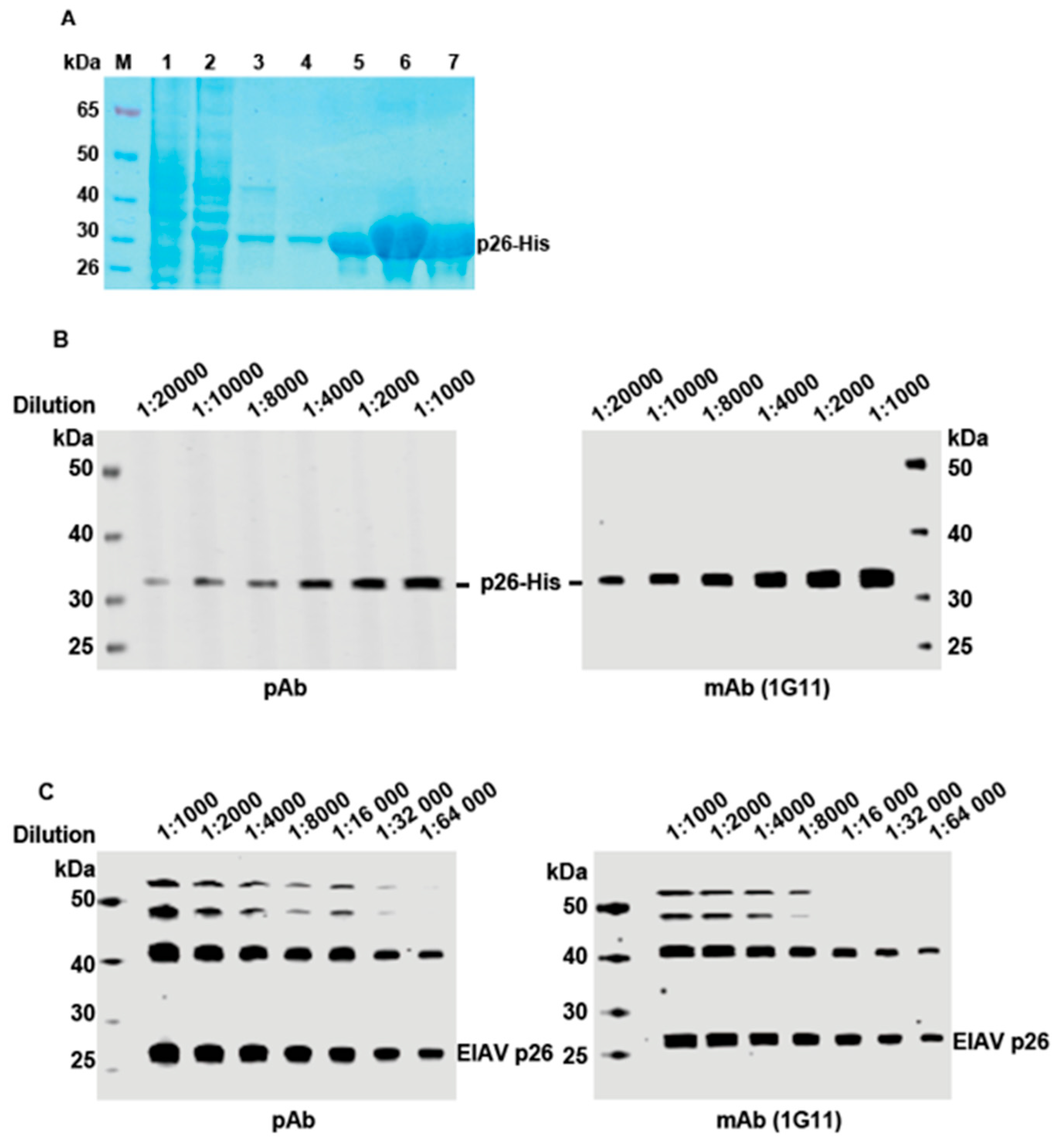 Microorganisms 13 01500 g003