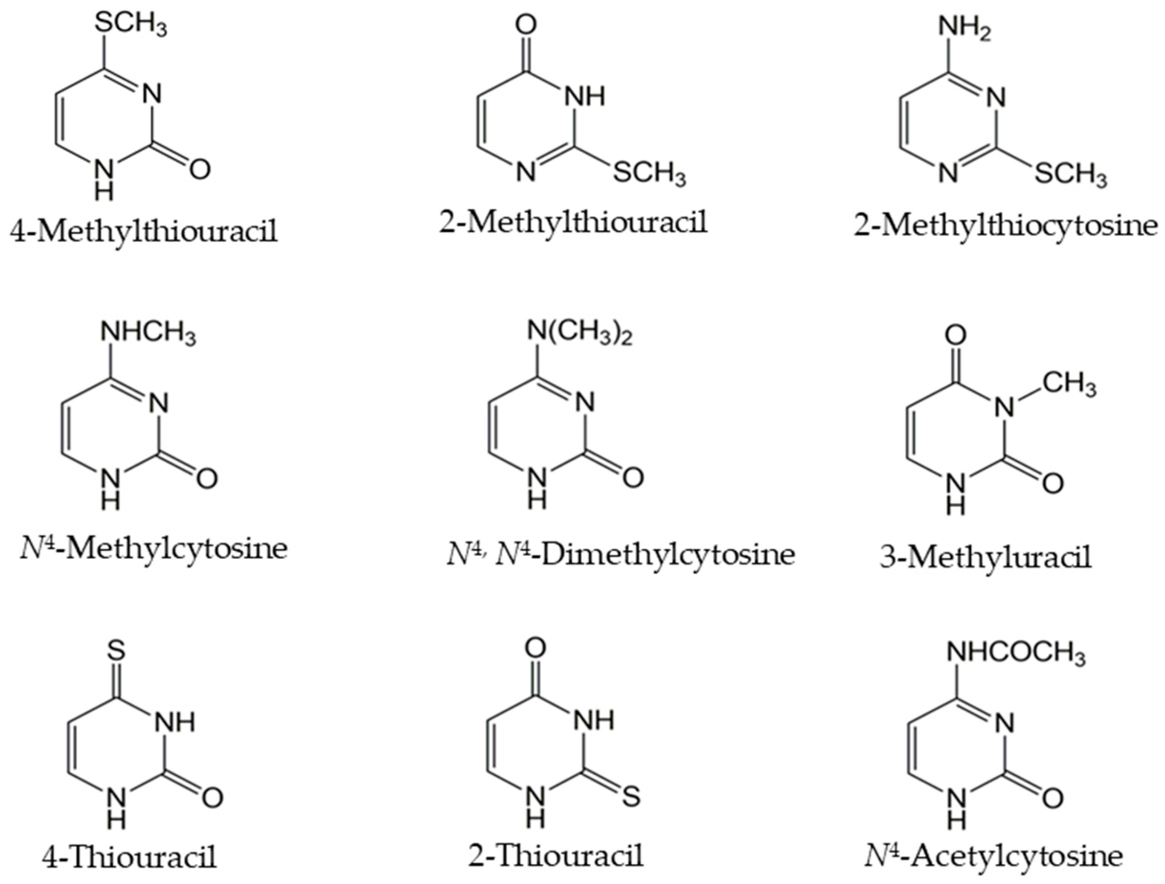Microorganisms 13 01506 g004