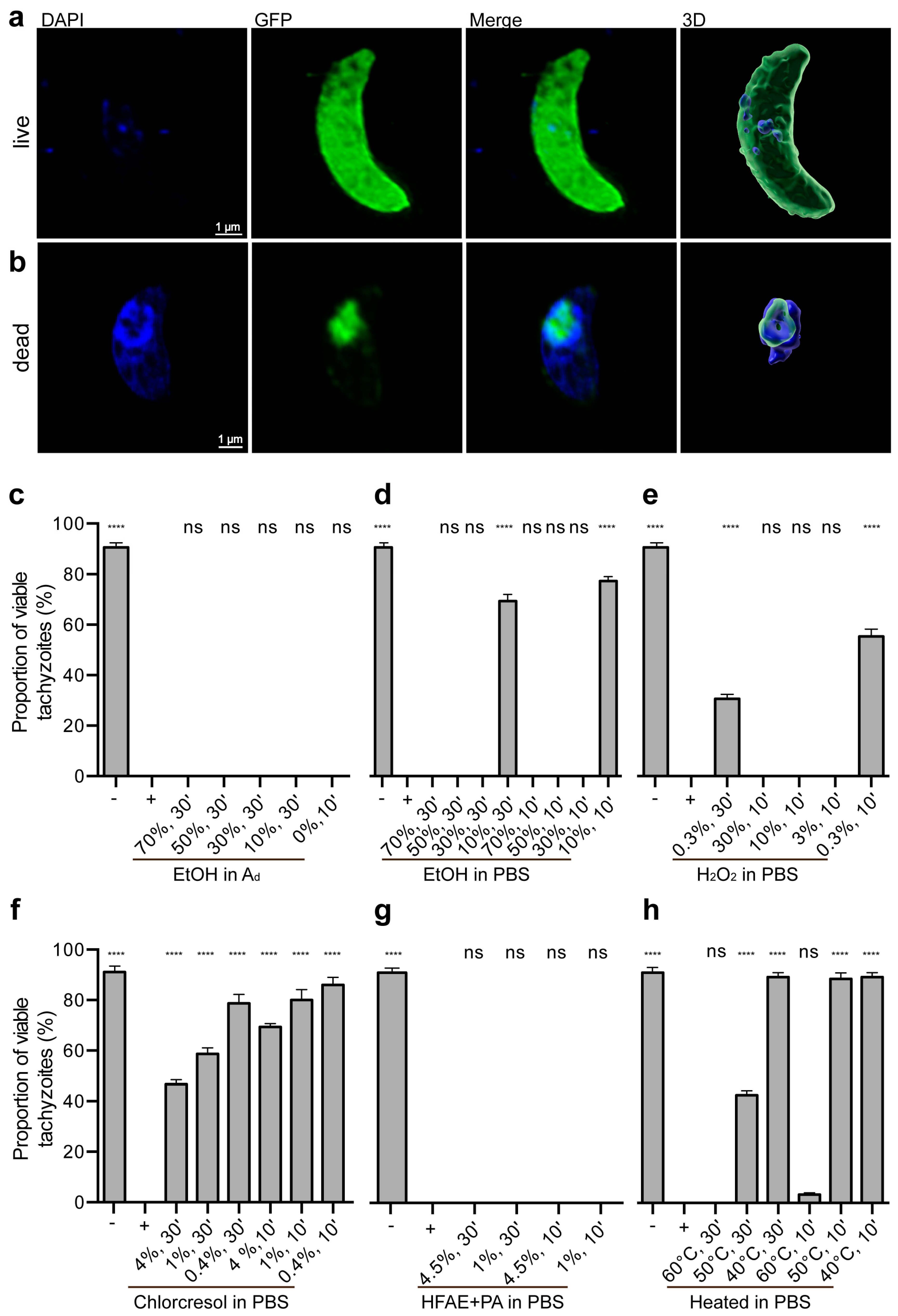 Microorganisms 13 01517 g001