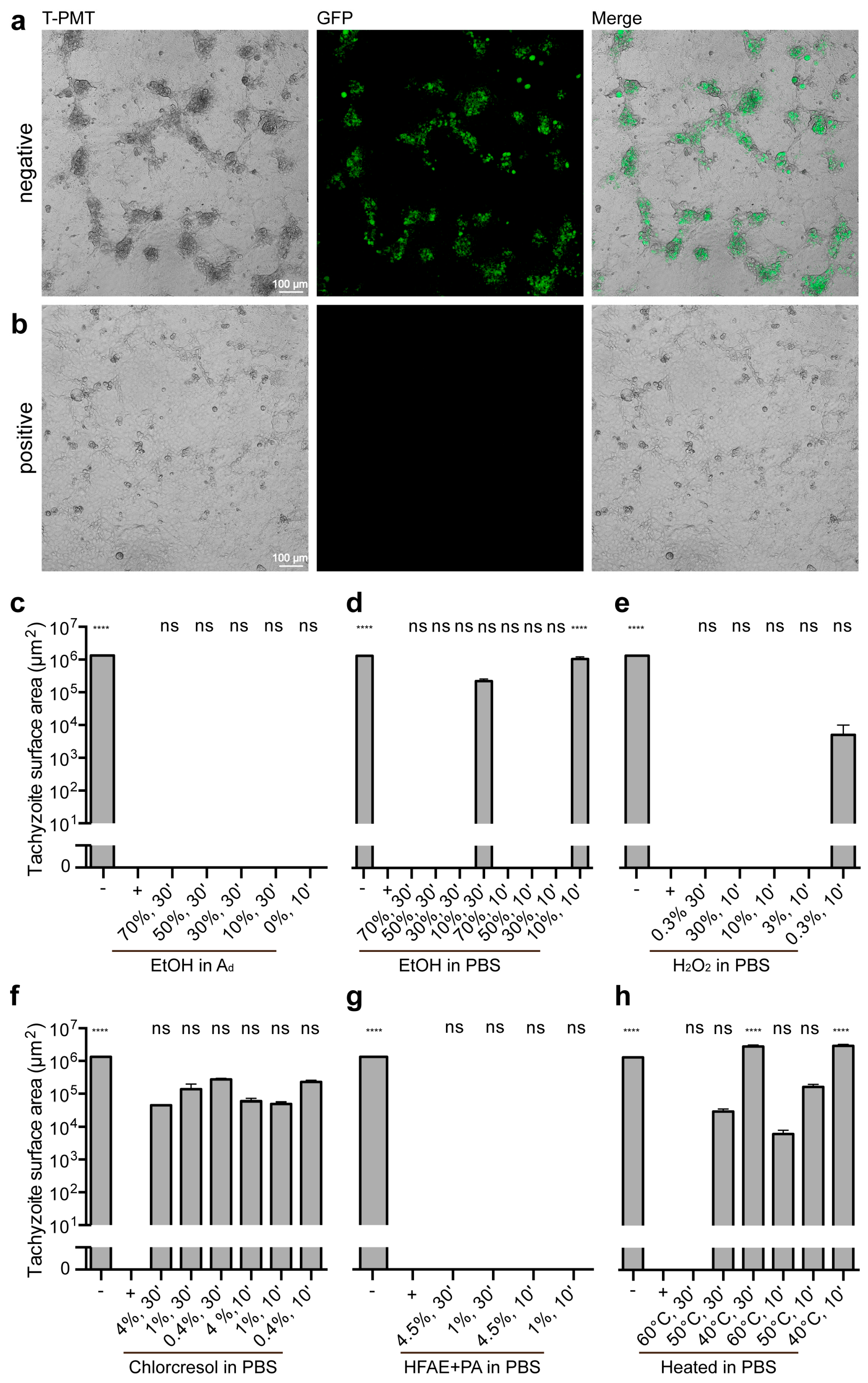 Microorganisms 13 01517 g002