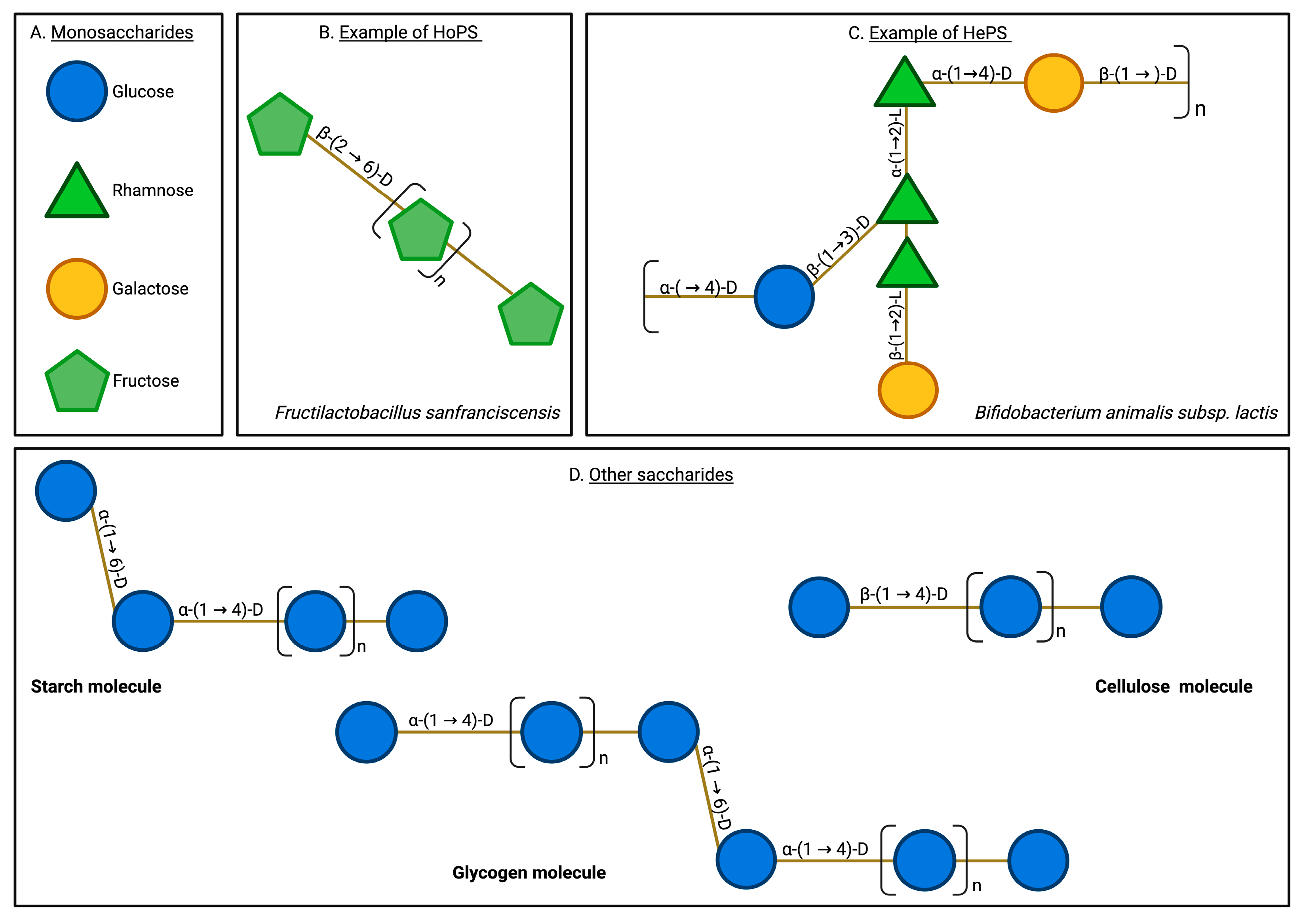 Microorganisms 13 01522 g001 Microorganisms 13 01522 g001