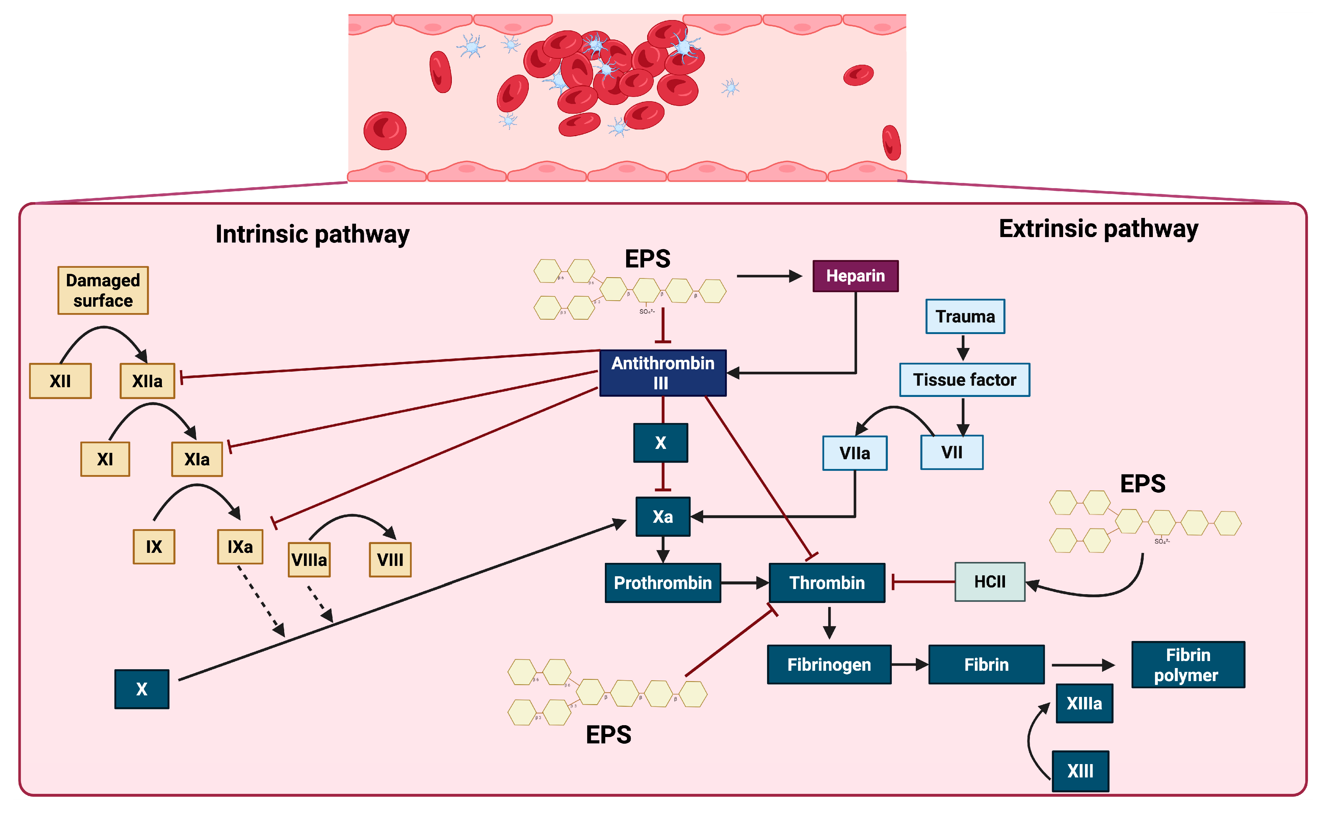 Microorganisms 13 01522 g004 Microorganisms 13 01522 g004