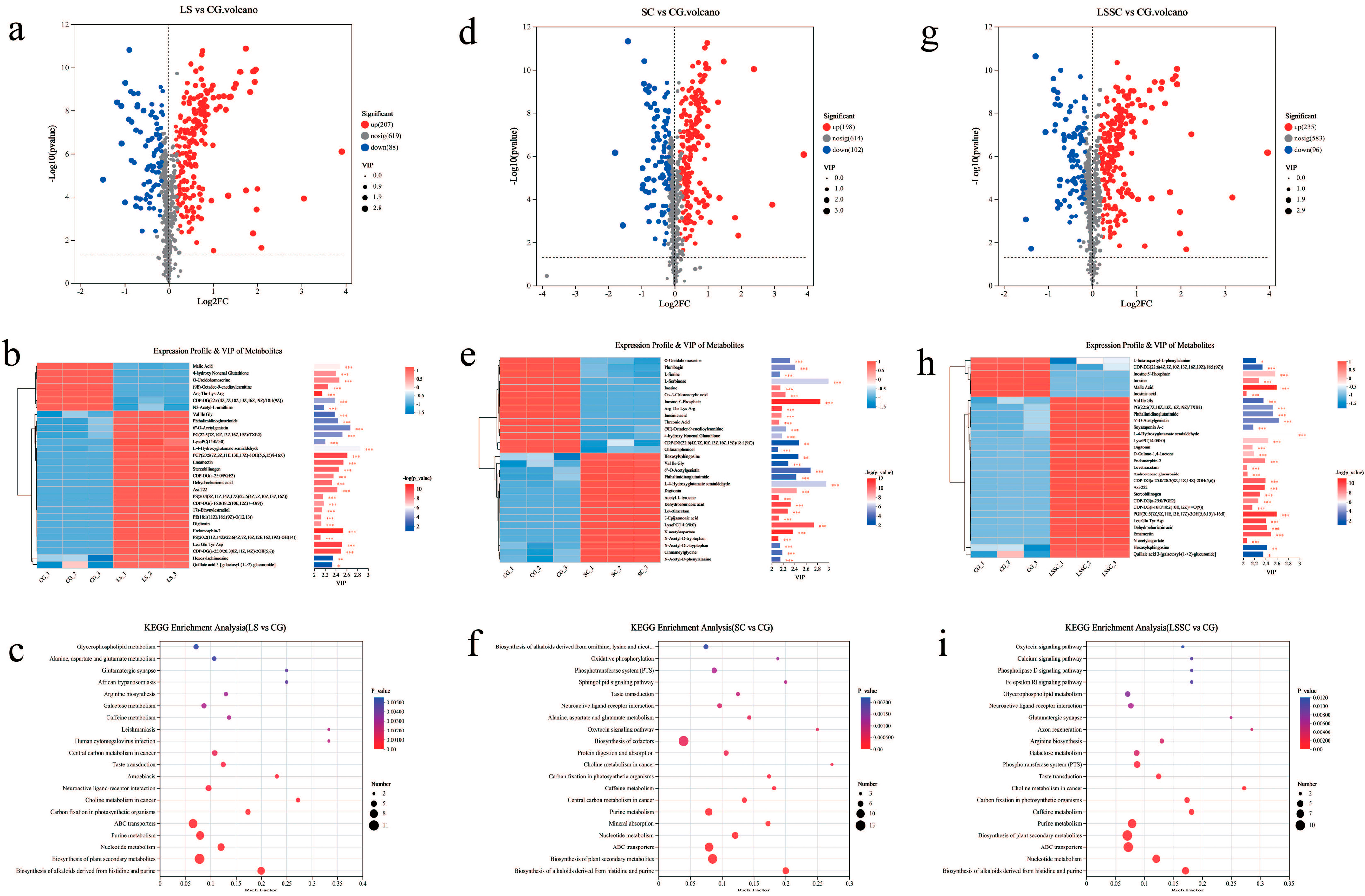 Microorganisms 13 01523 g003