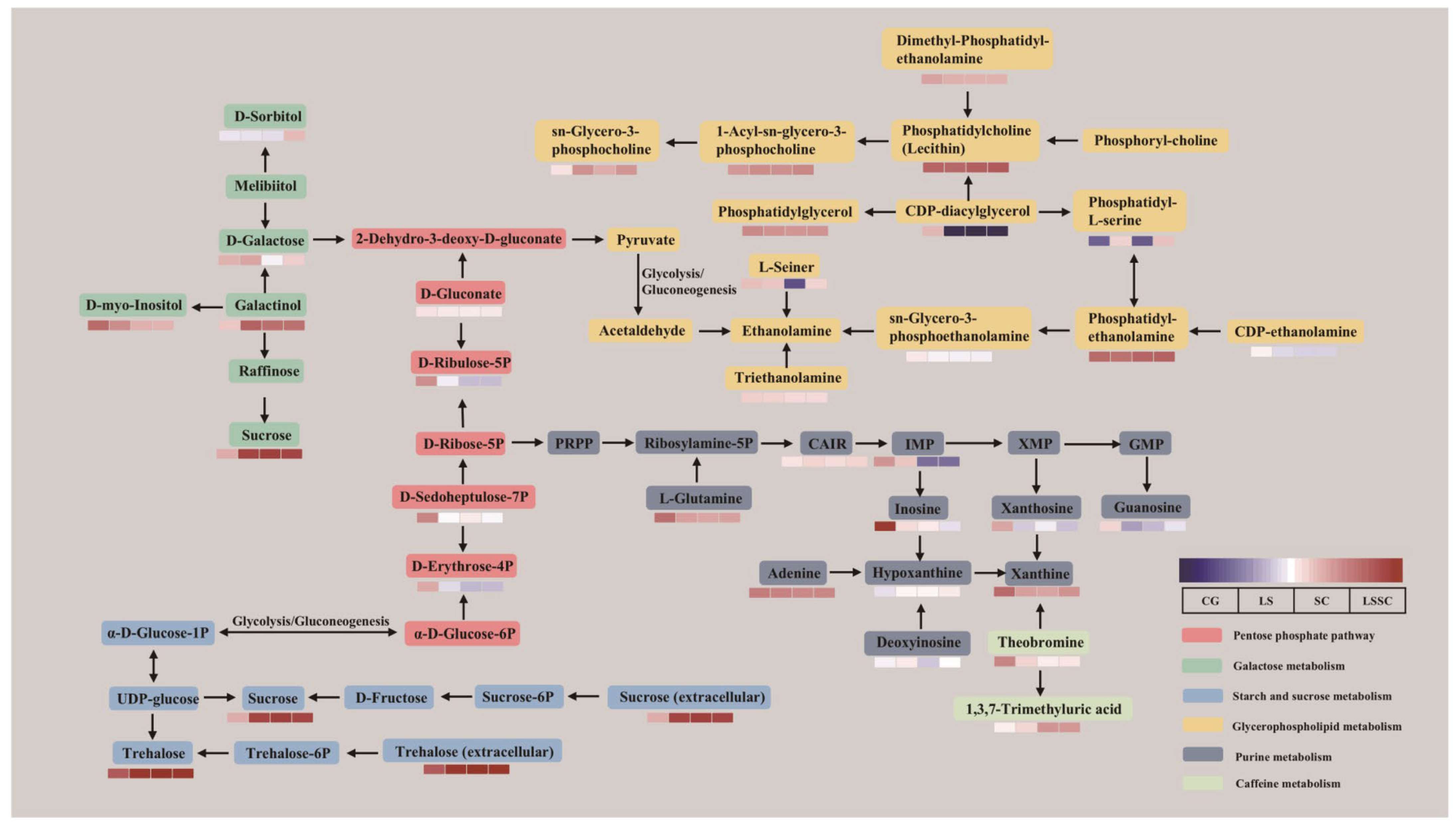 Microorganisms 13 01523 g005