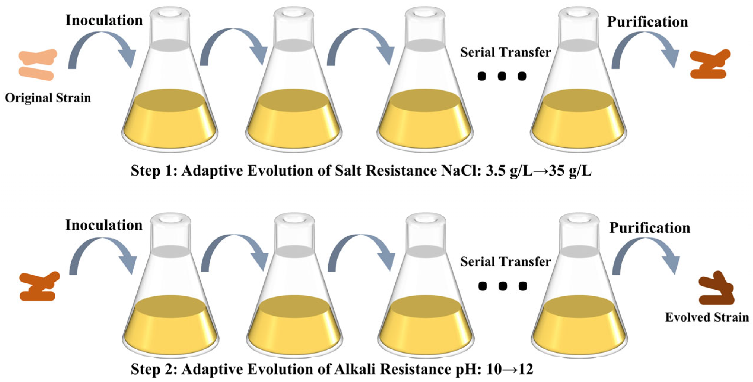 Microorganisms 13 01526 g001