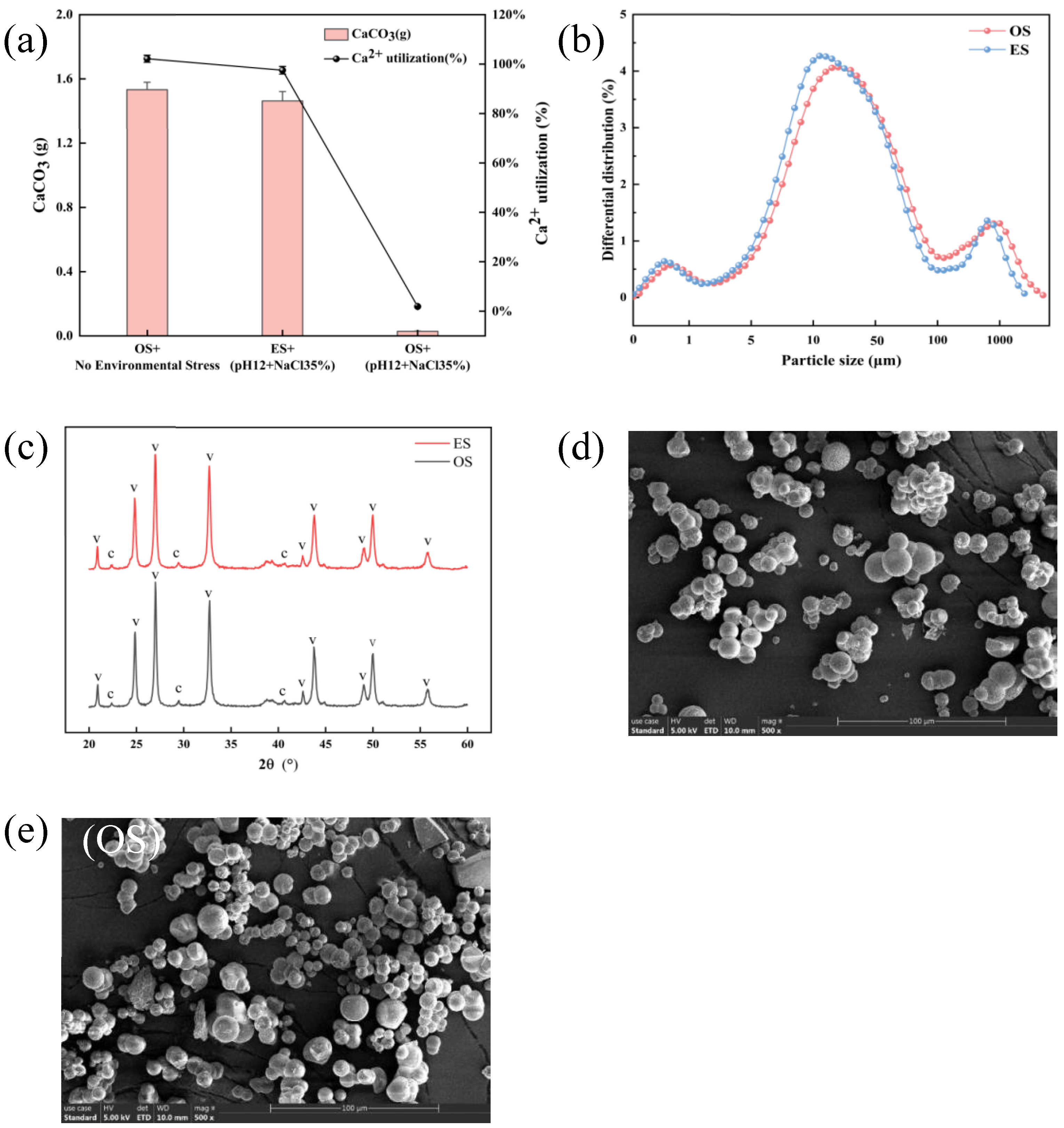 Microorganisms 13 01526 g006
