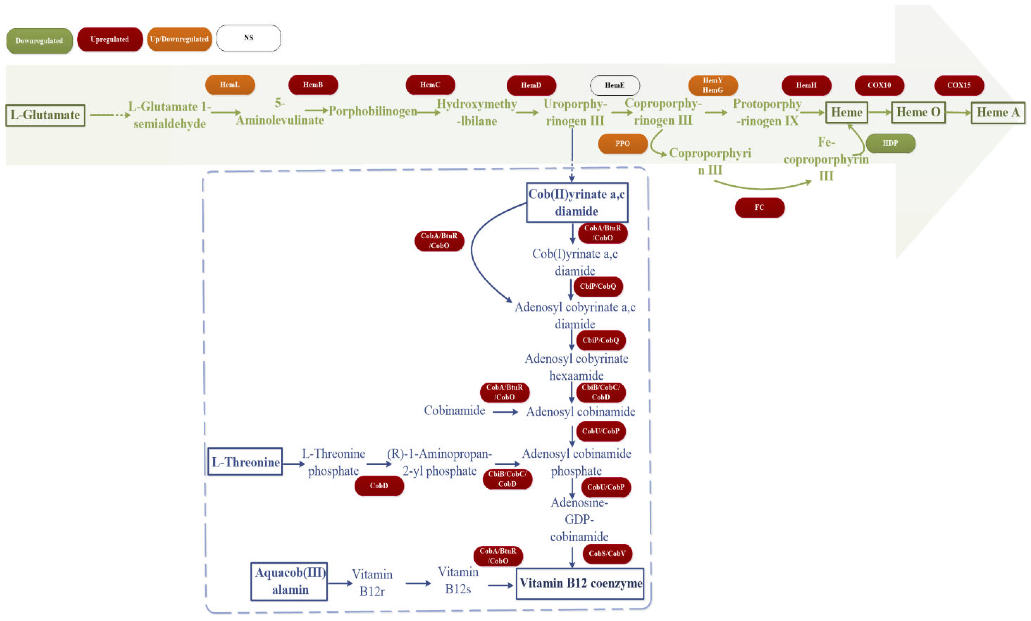 Microorganisms 13 01526 g007