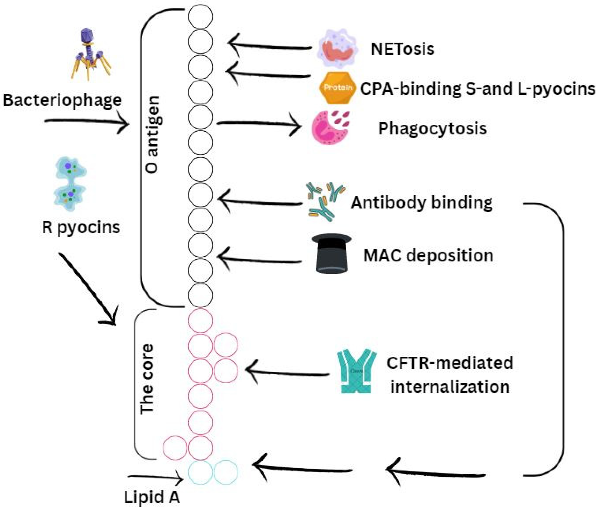 Microorganisms 13 01527 g002