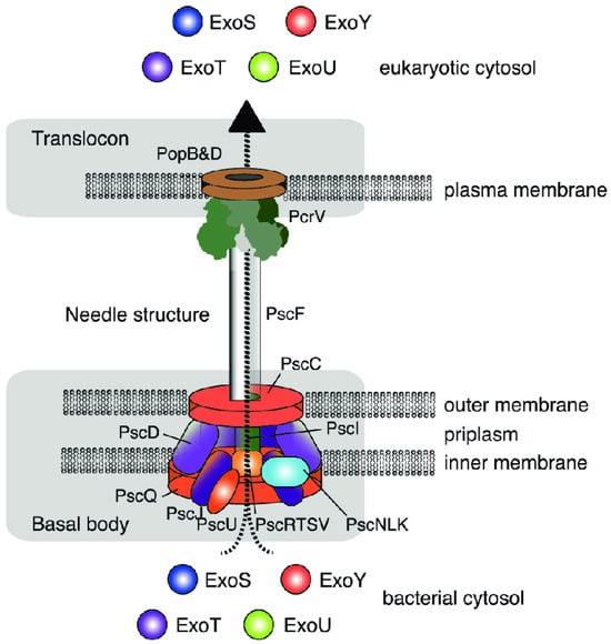 Microorganisms 13 01527 g003