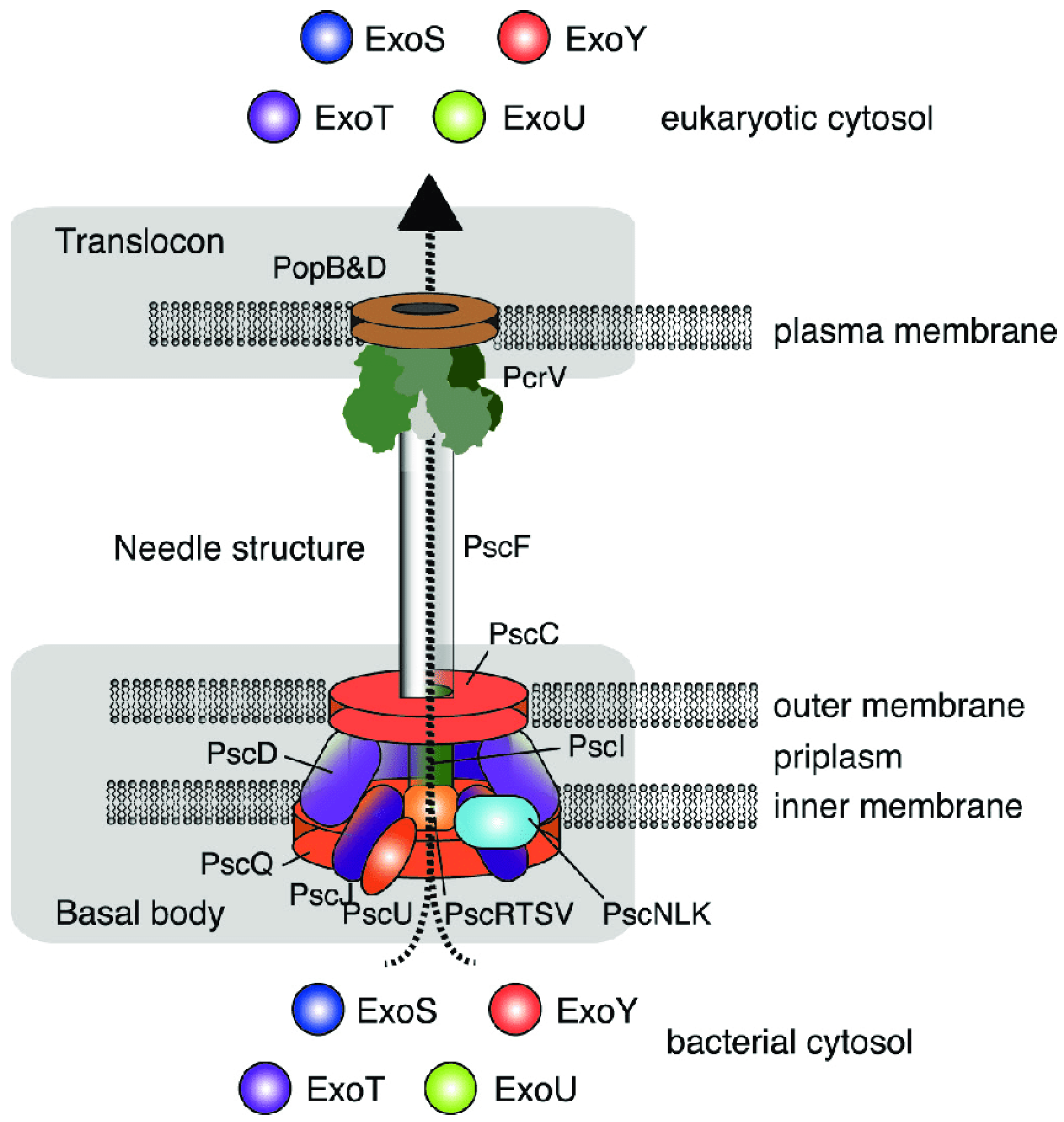 Microorganisms 13 01527 g003