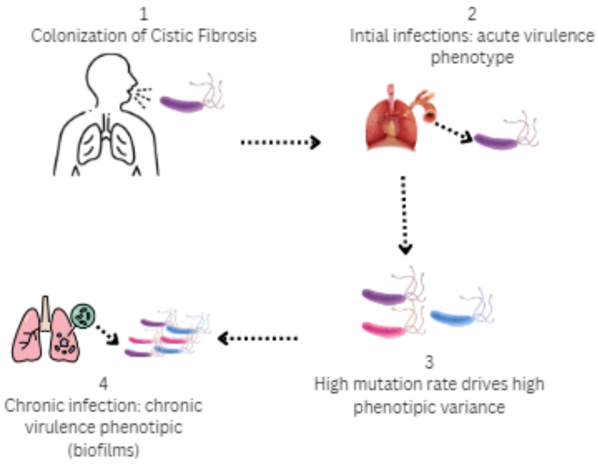 Microorganisms 13 01527 g004