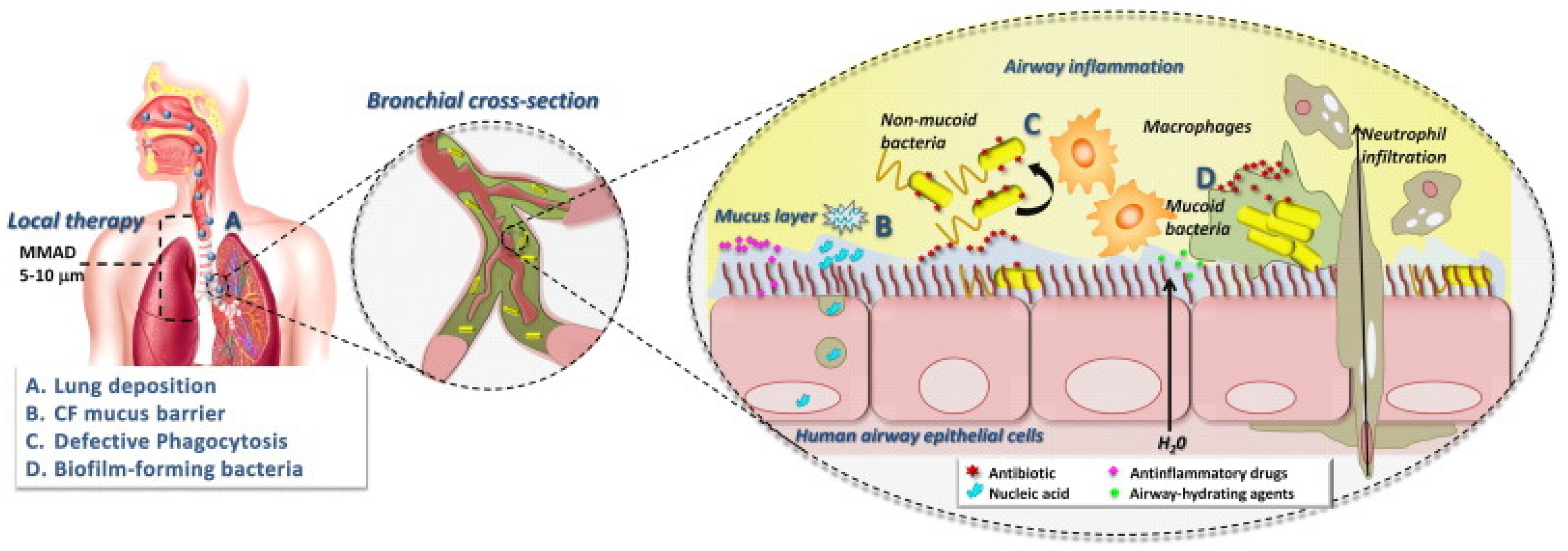Microorganisms 13 01527 g005