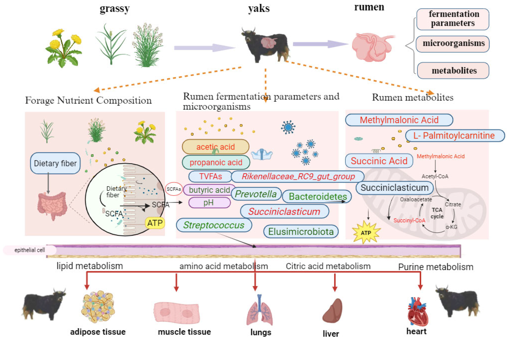 Microorganisms 13 01543 g010