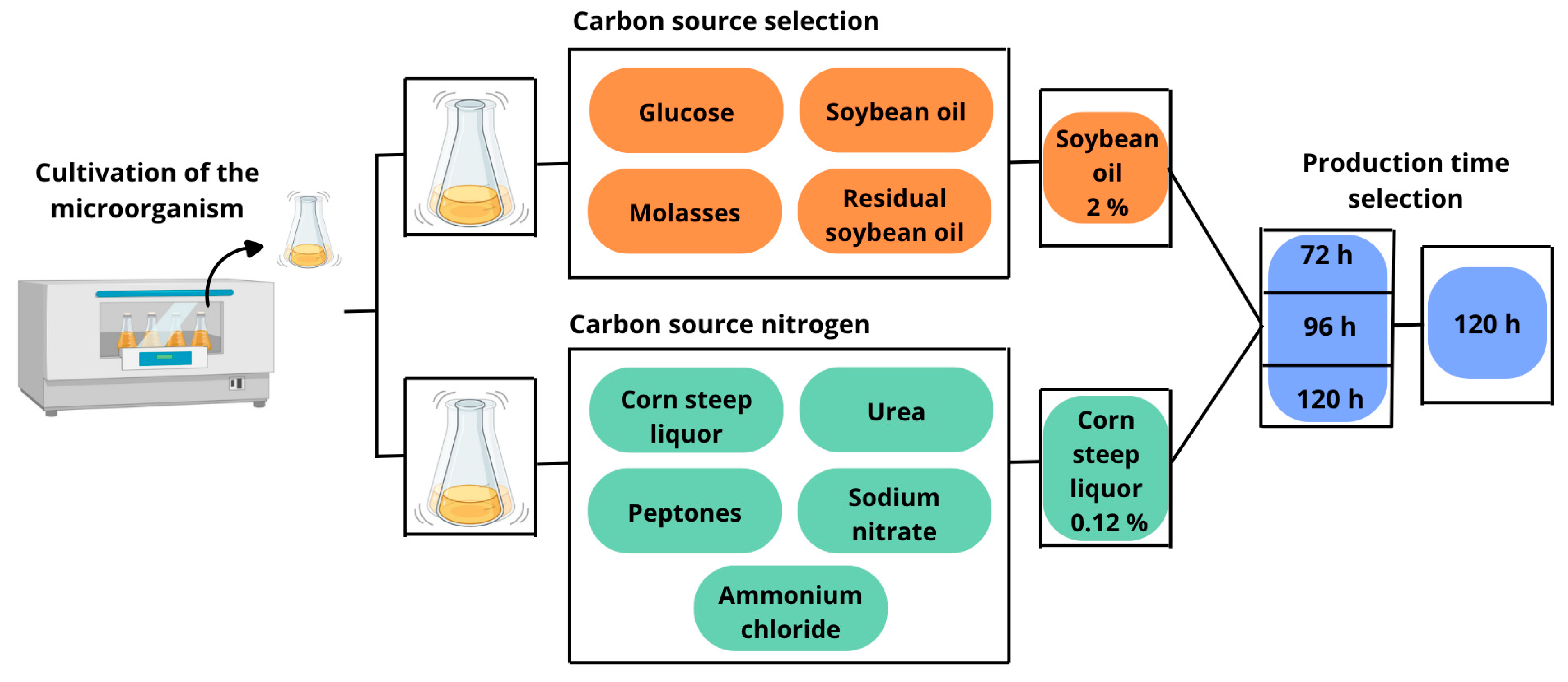 Microorganisms 13 01548 g001