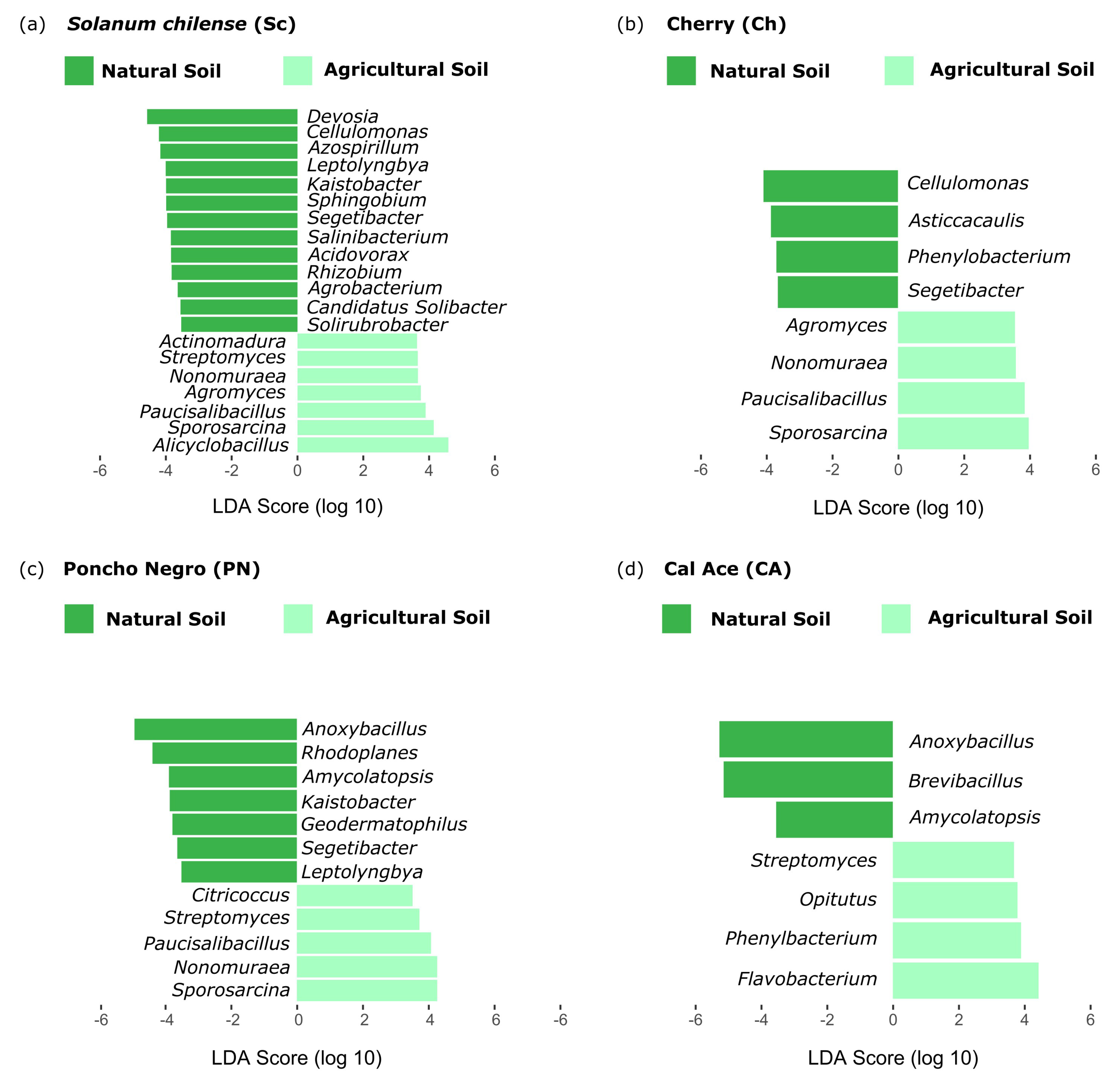 Microorganisms 13 01550 g004
