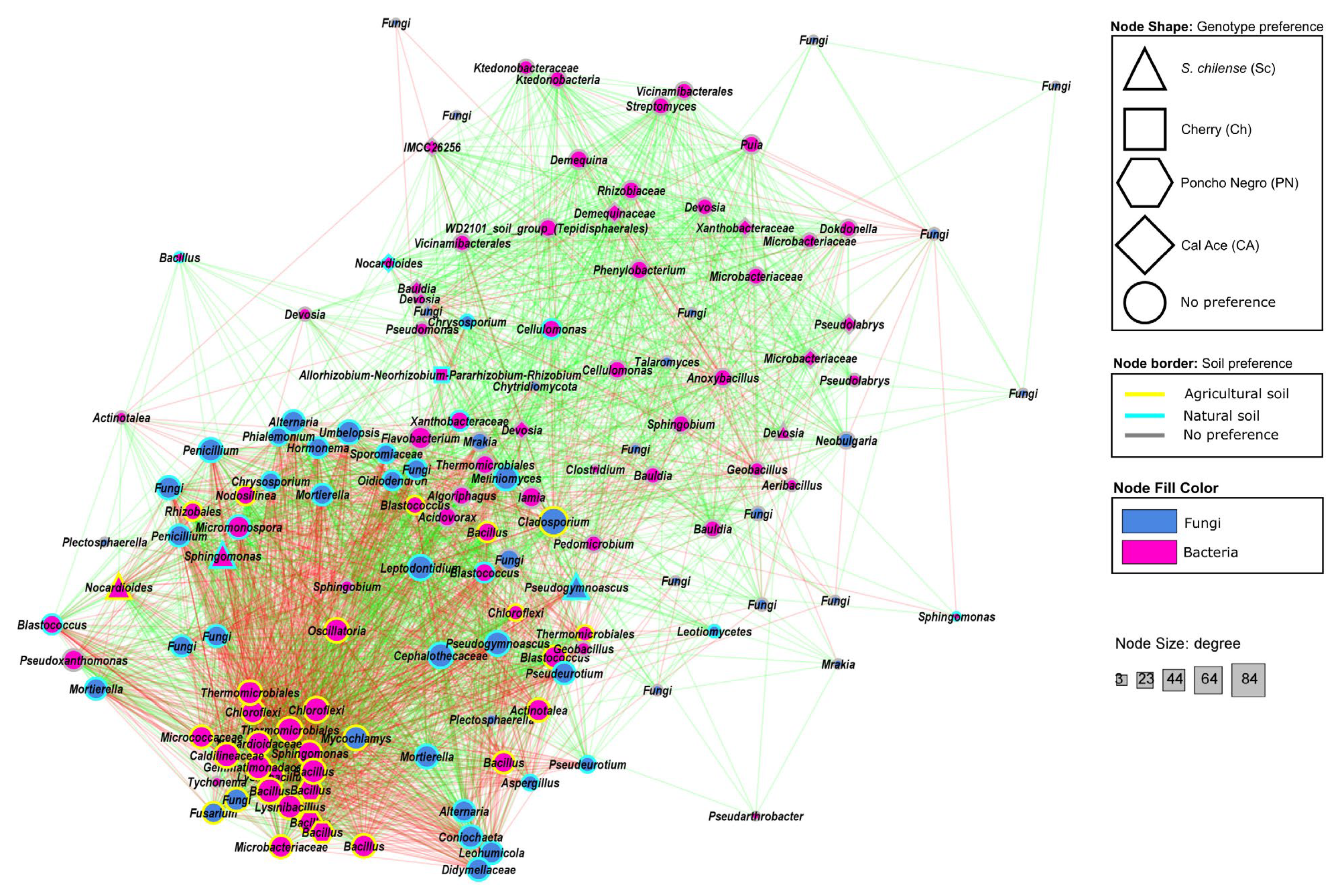 Microorganisms 13 01550 g006