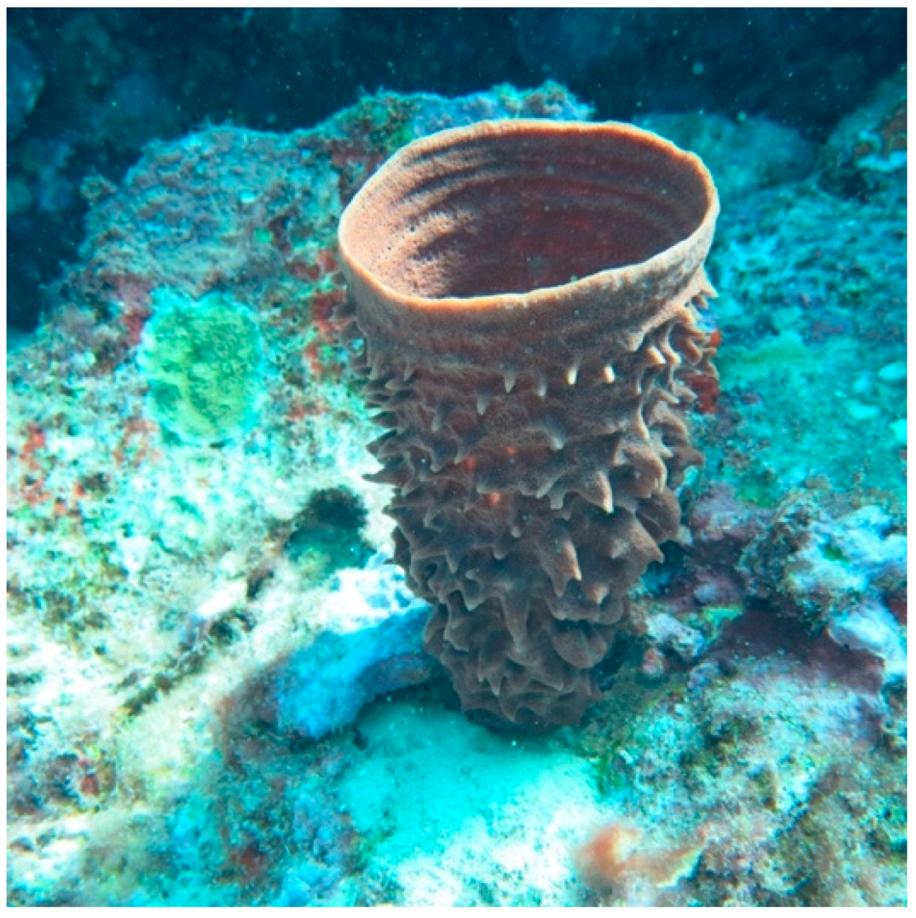 Microorganisms 13 01552 g001