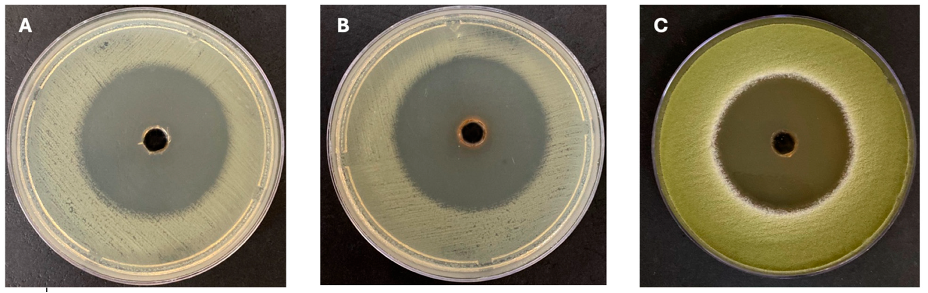 Microorganisms 13 01552 g002