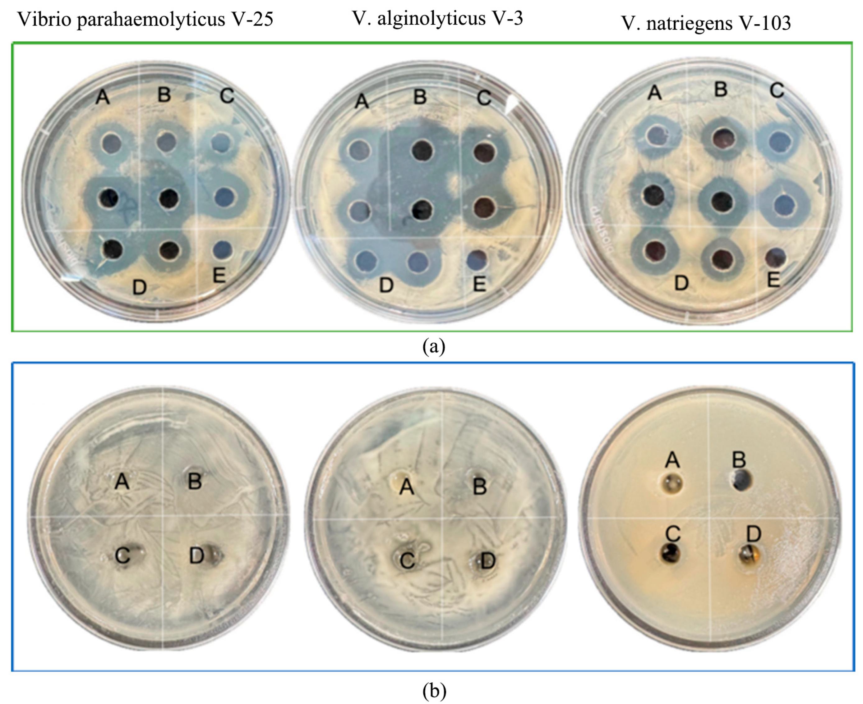Microorganisms 13 01554 g003 Microorganisms 13 01554 g003