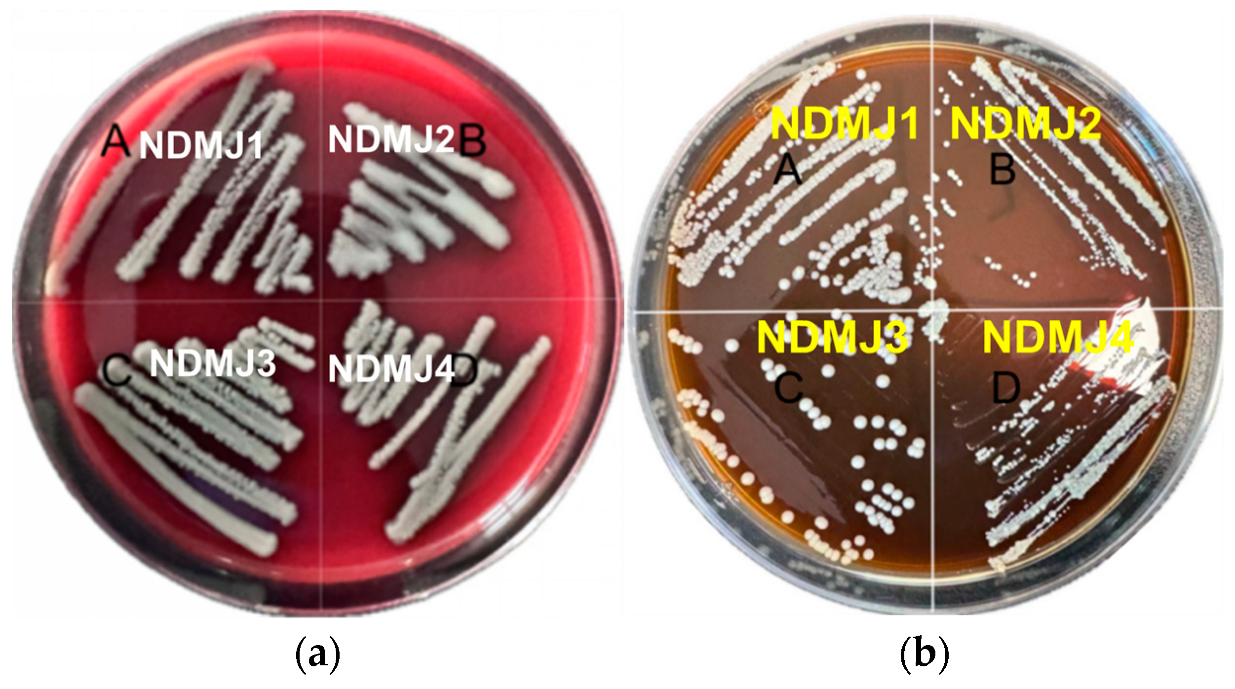 Microorganisms 13 01554 g005 Microorganisms 13 01554 g005