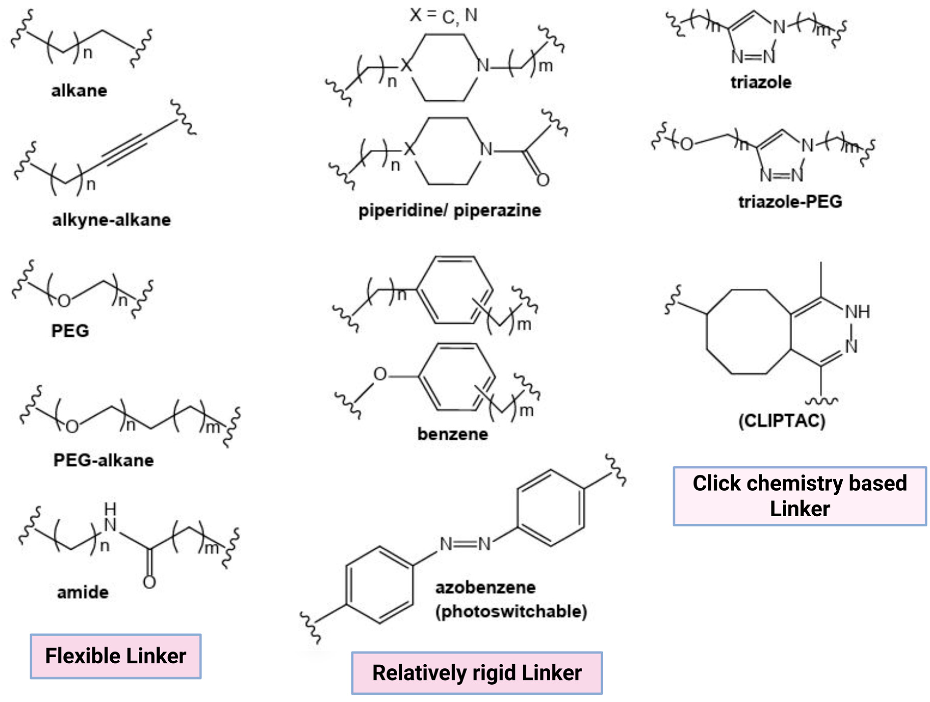 Microorganisms 13 01557 g002